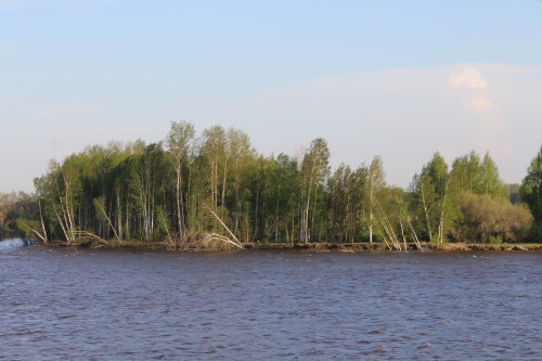 IMG_7437.md.jpg