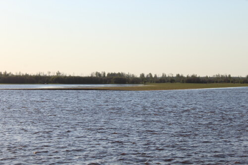 IMG_7440.md.jpg