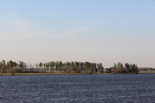 IMG_7441.md.jpg