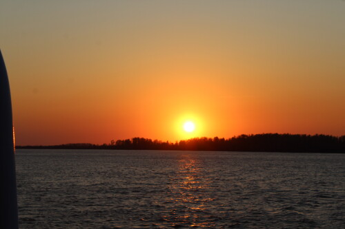 IMG_7443.md.jpg