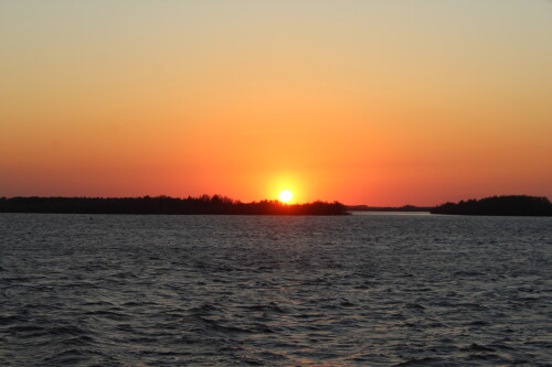 IMG_7445.md.jpg