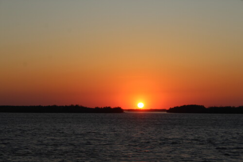 IMG_7447.md.jpg