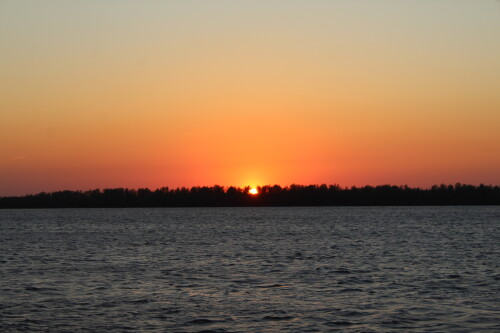 IMG_7450.md.jpg