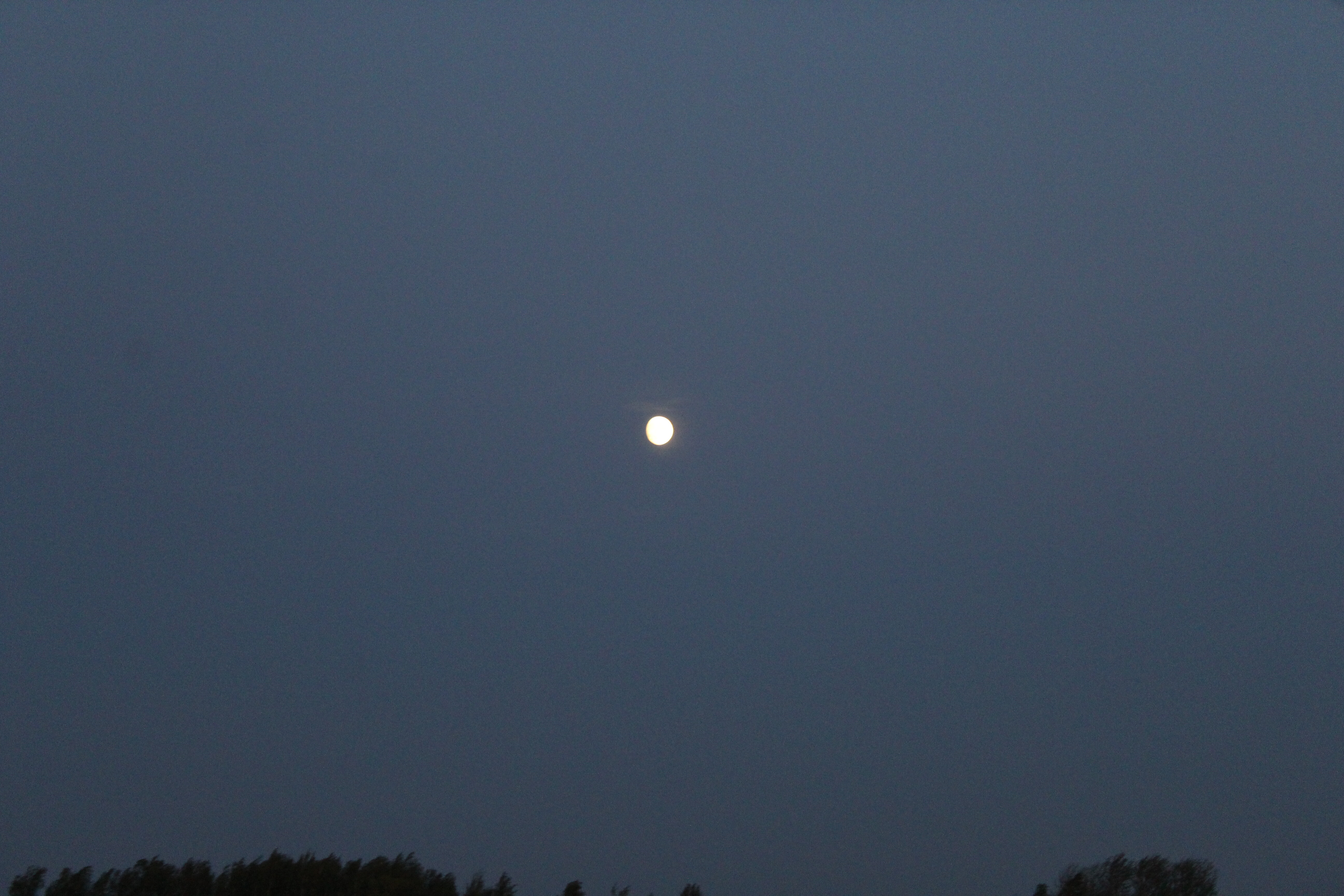 IMG_7462.jpg