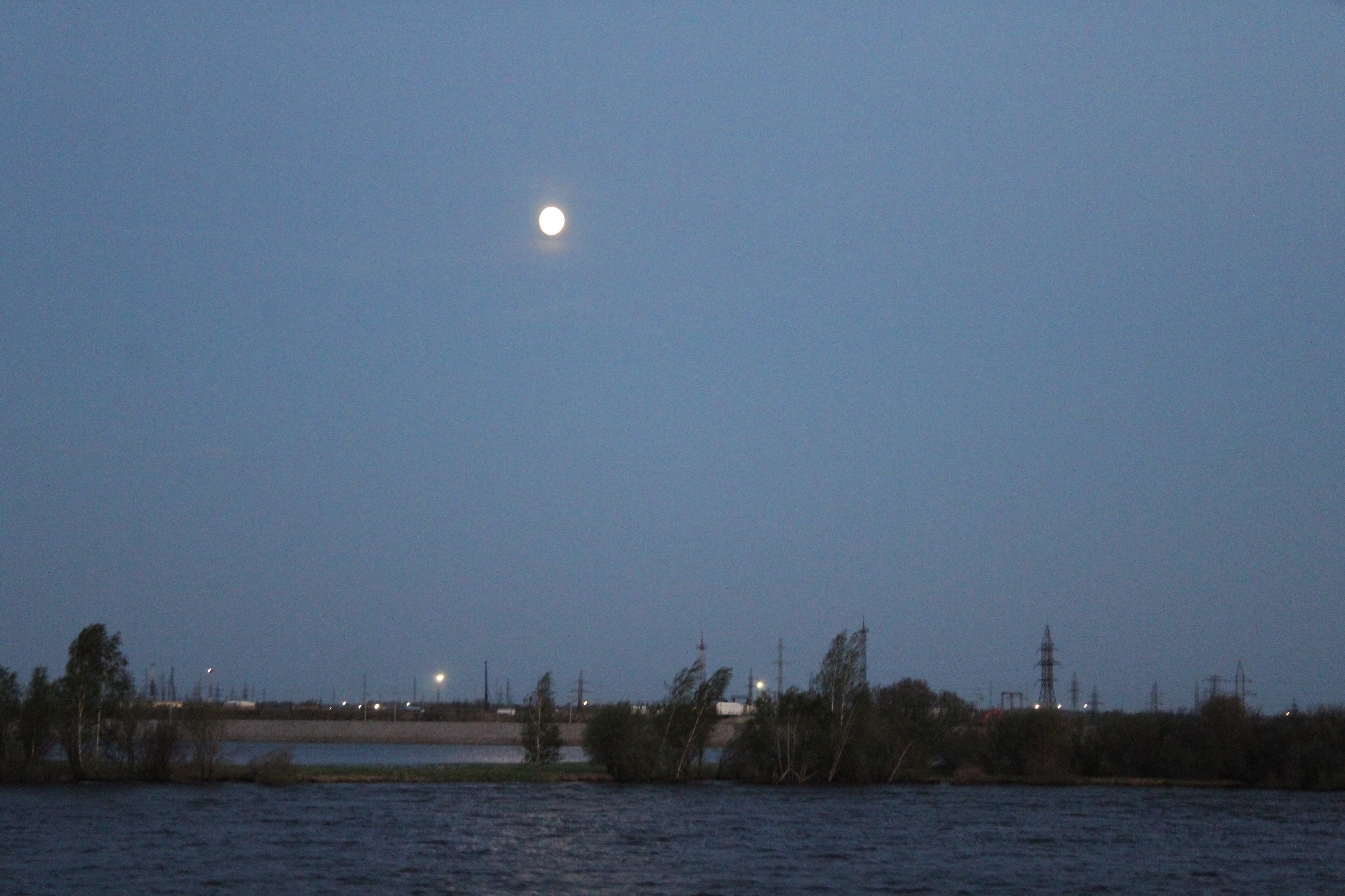 IMG_7463.jpg