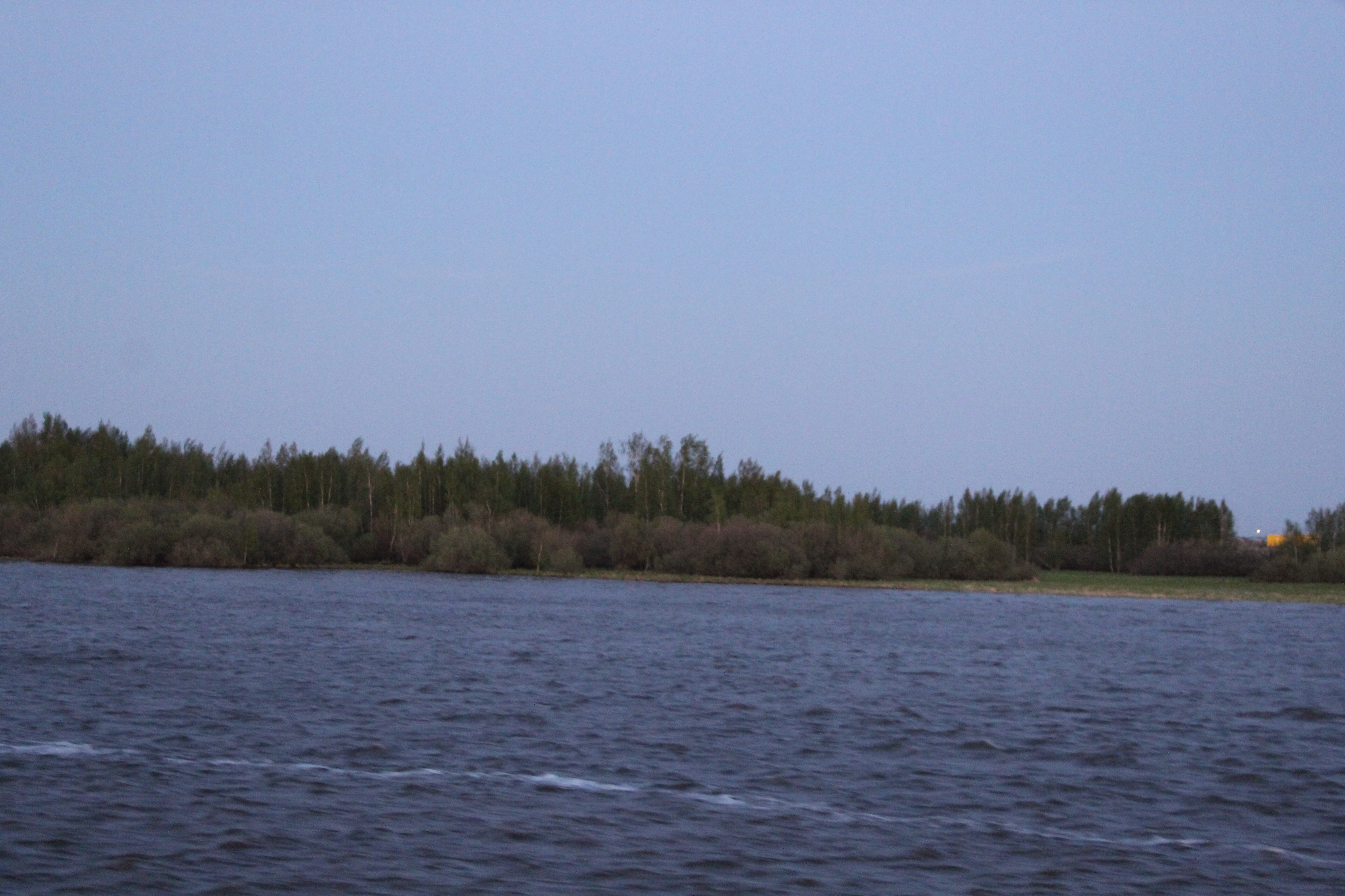 IMG_7466.jpg