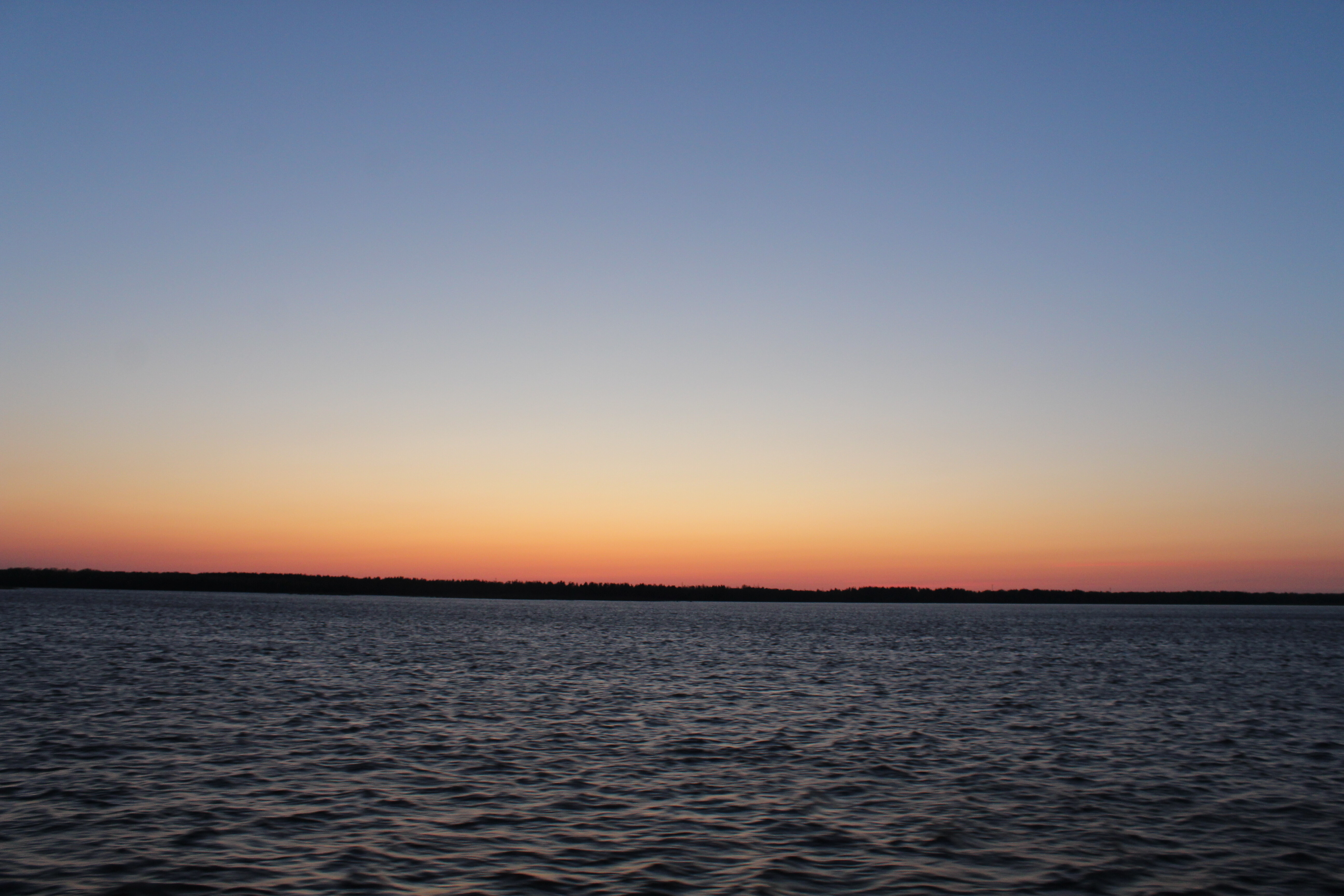 IMG_7468.jpg