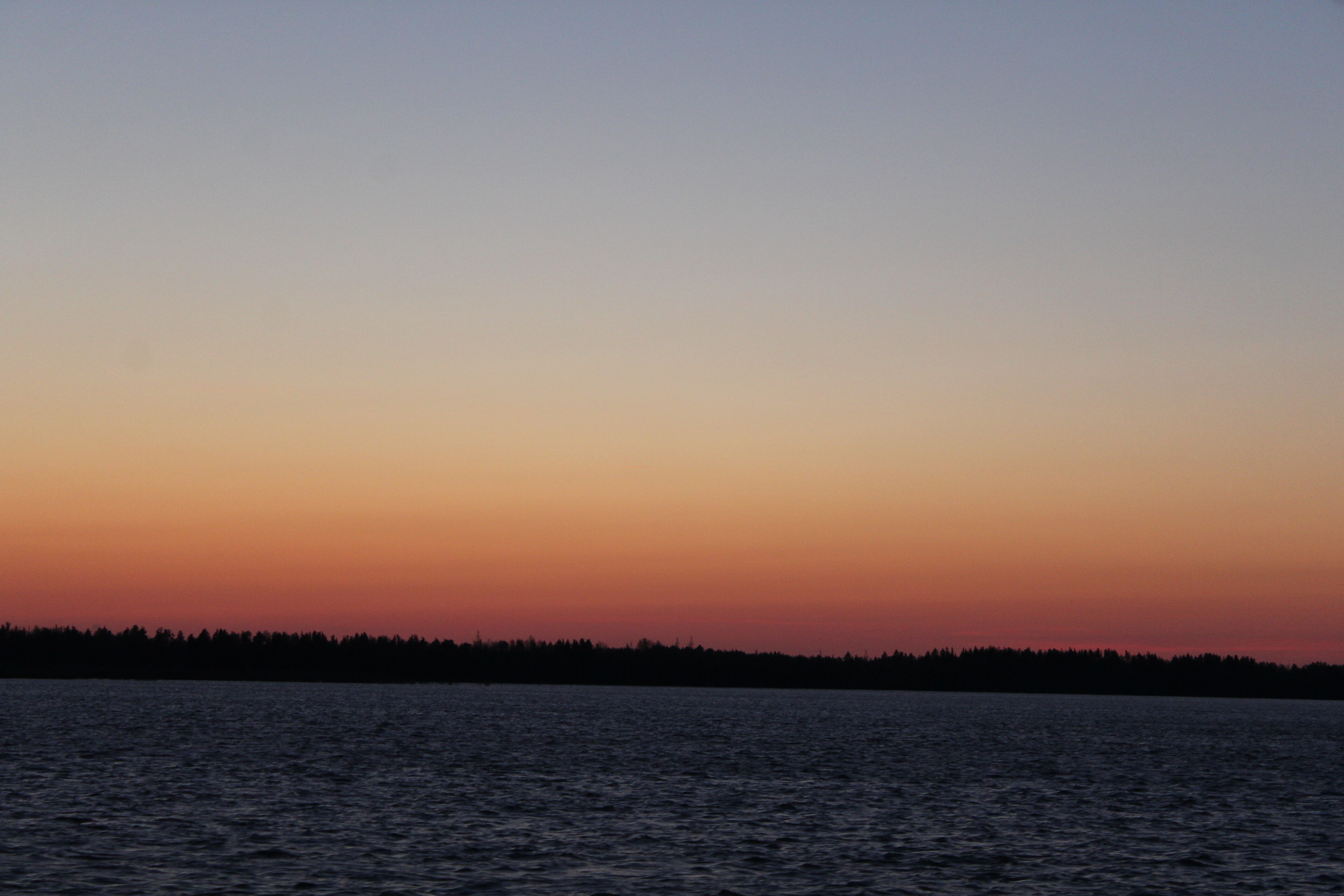 IMG_7469.jpg