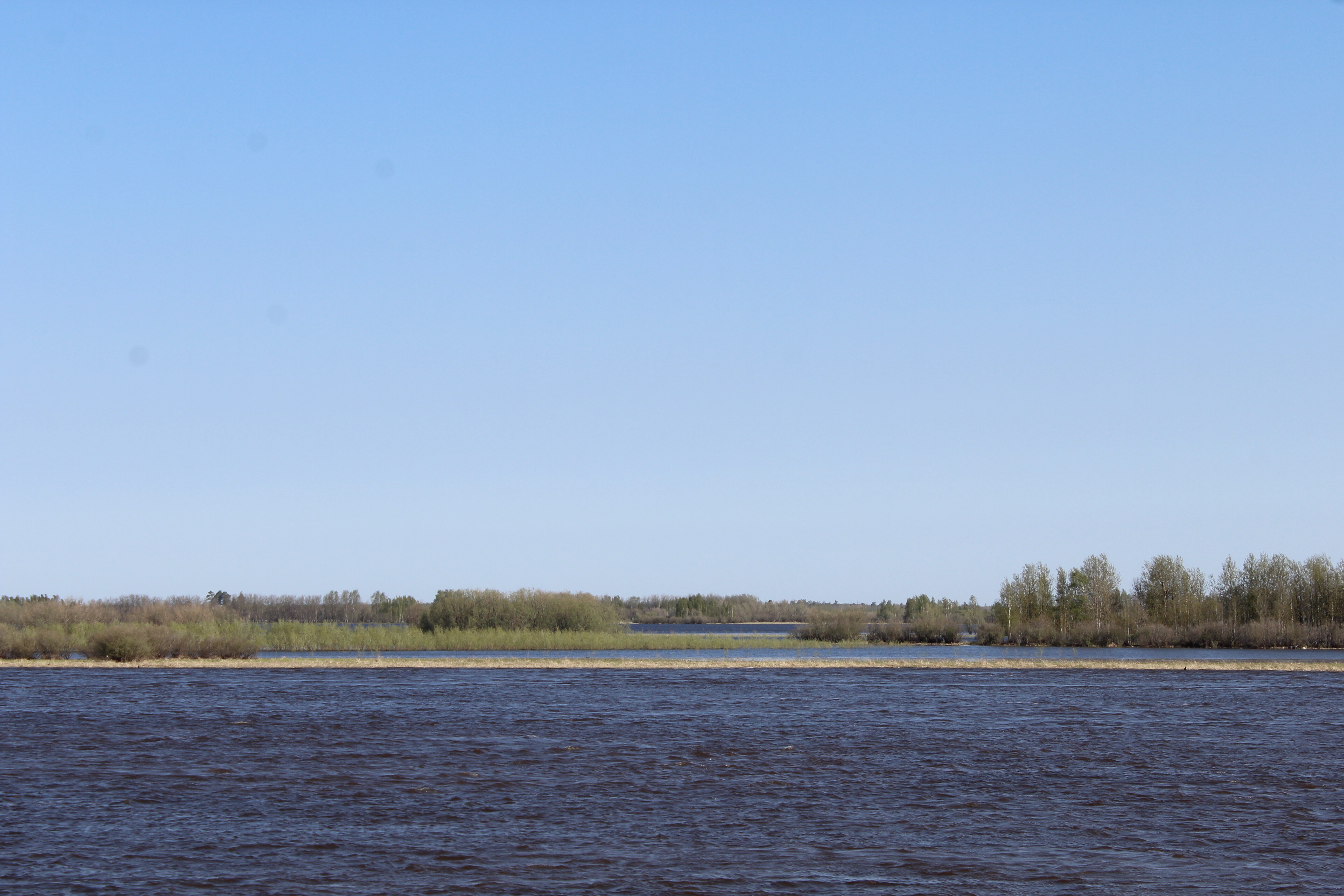 IMG_7473.jpg