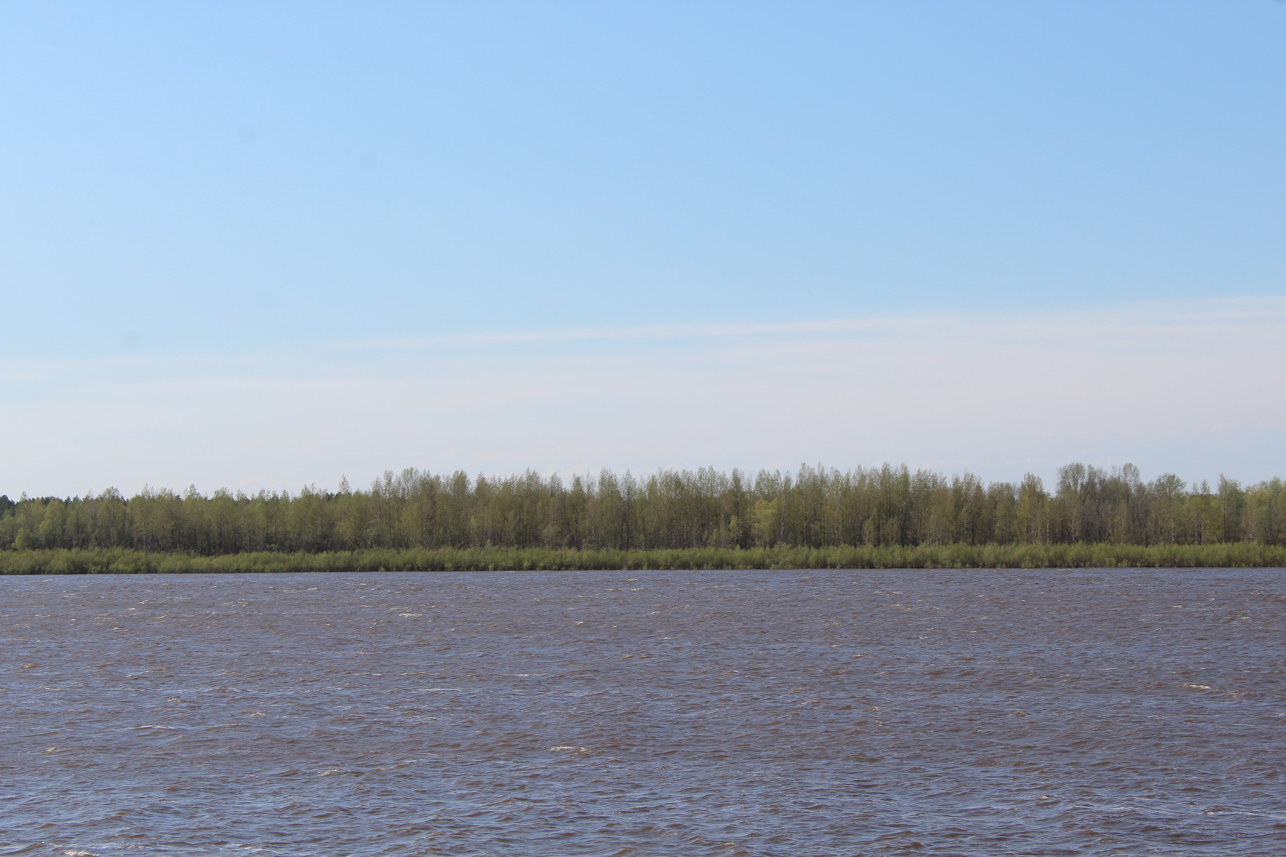 IMG_7477.jpg
