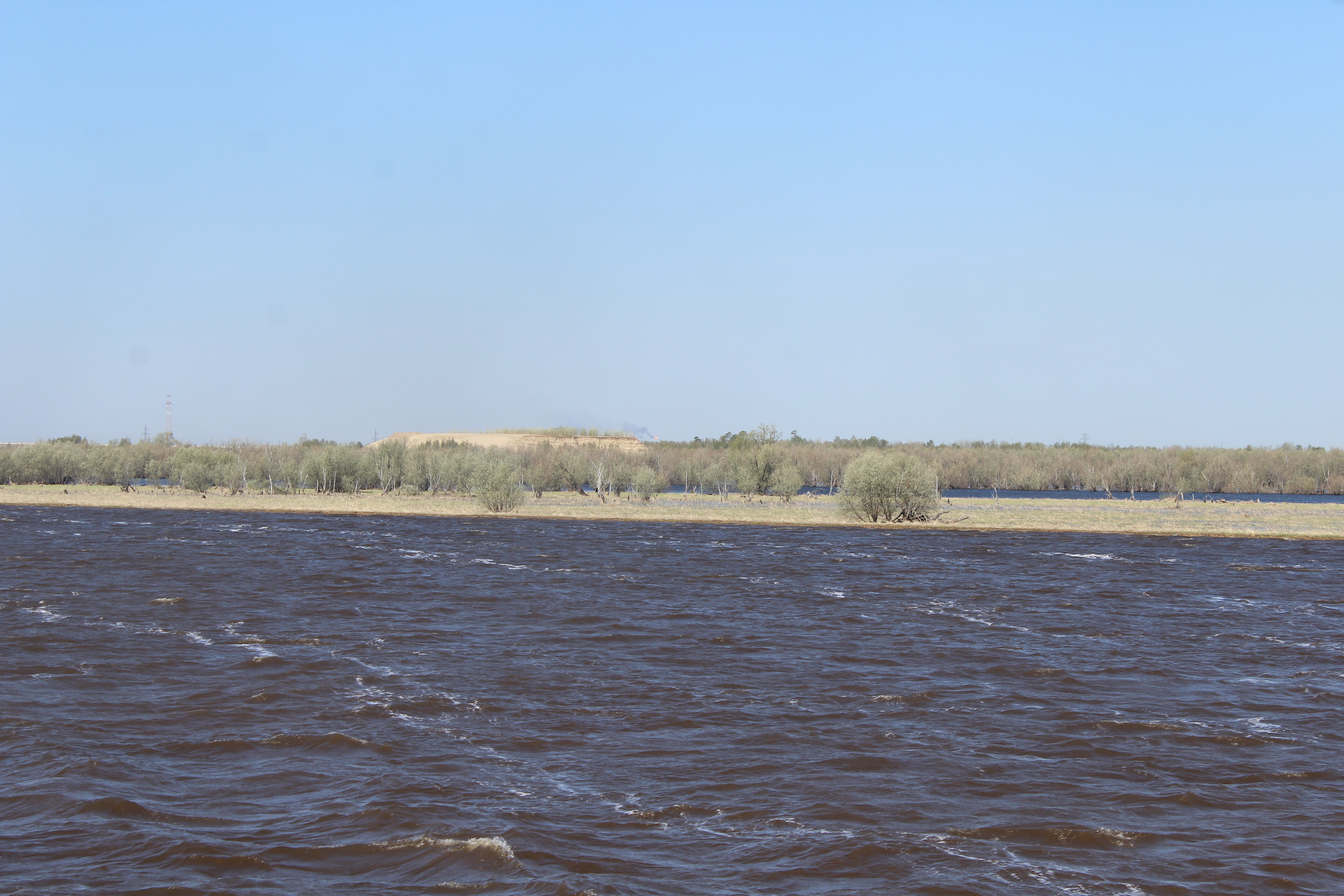 IMG_7482.jpg