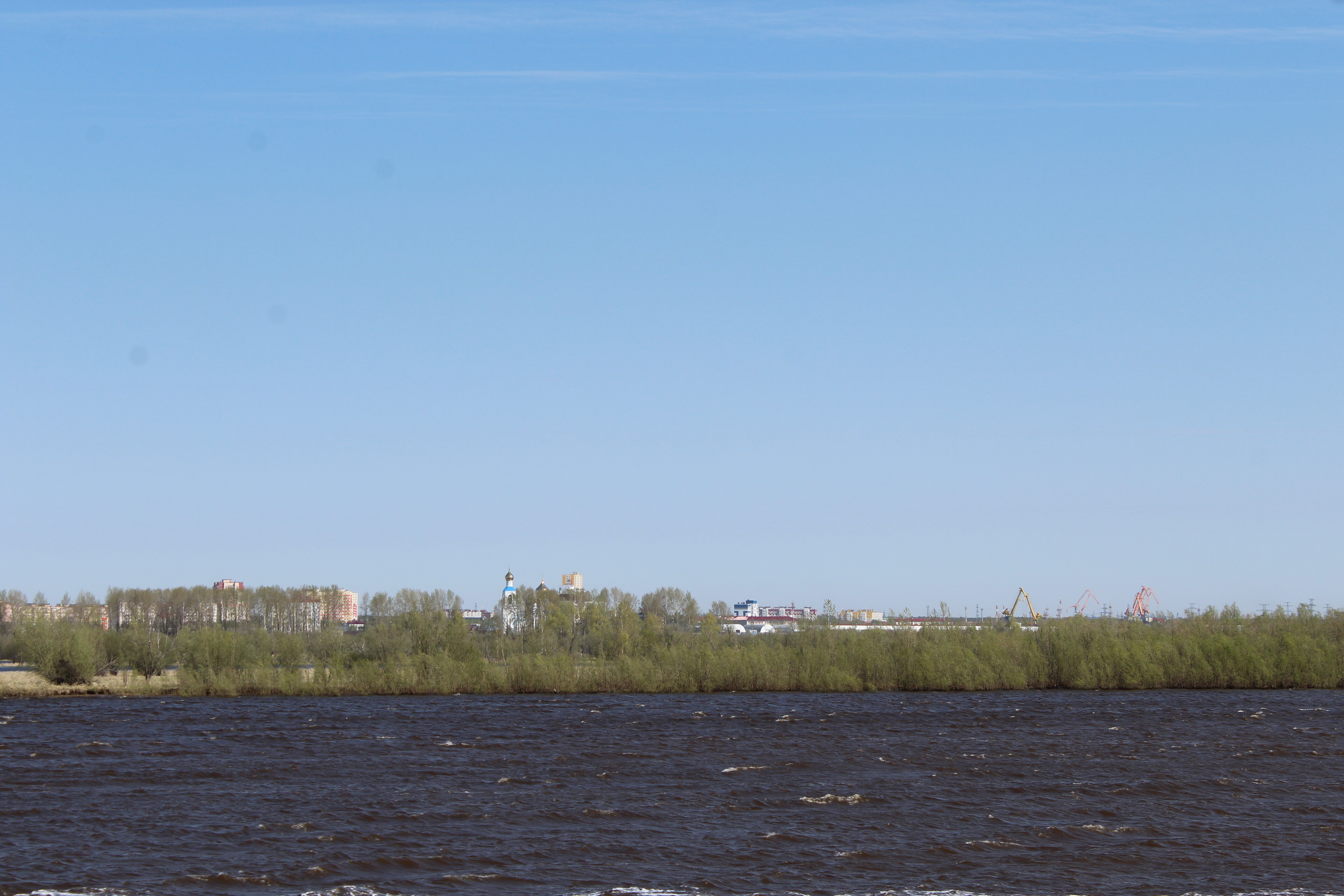 IMG_7486.jpg
