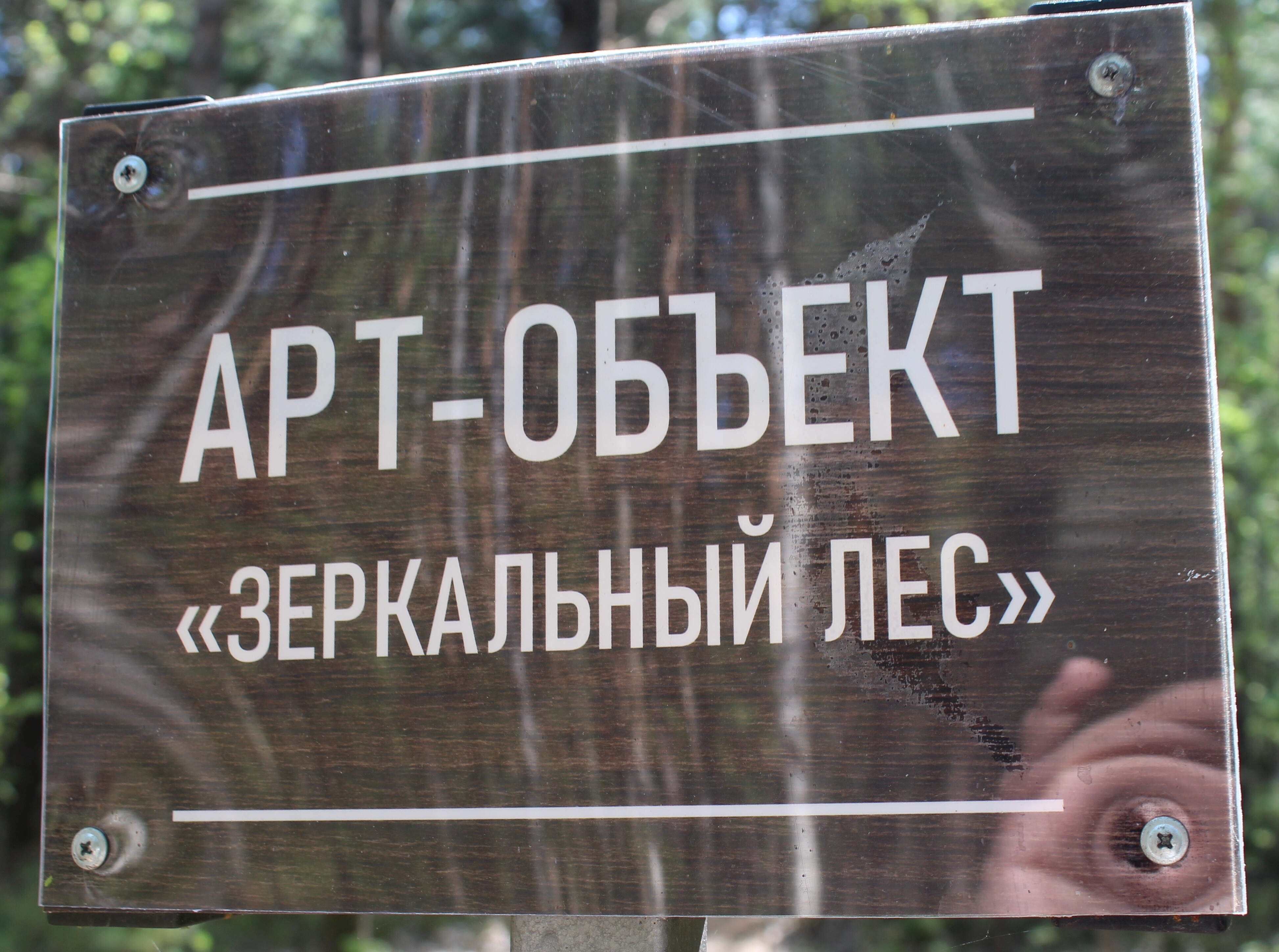 IMG_7538.jpg