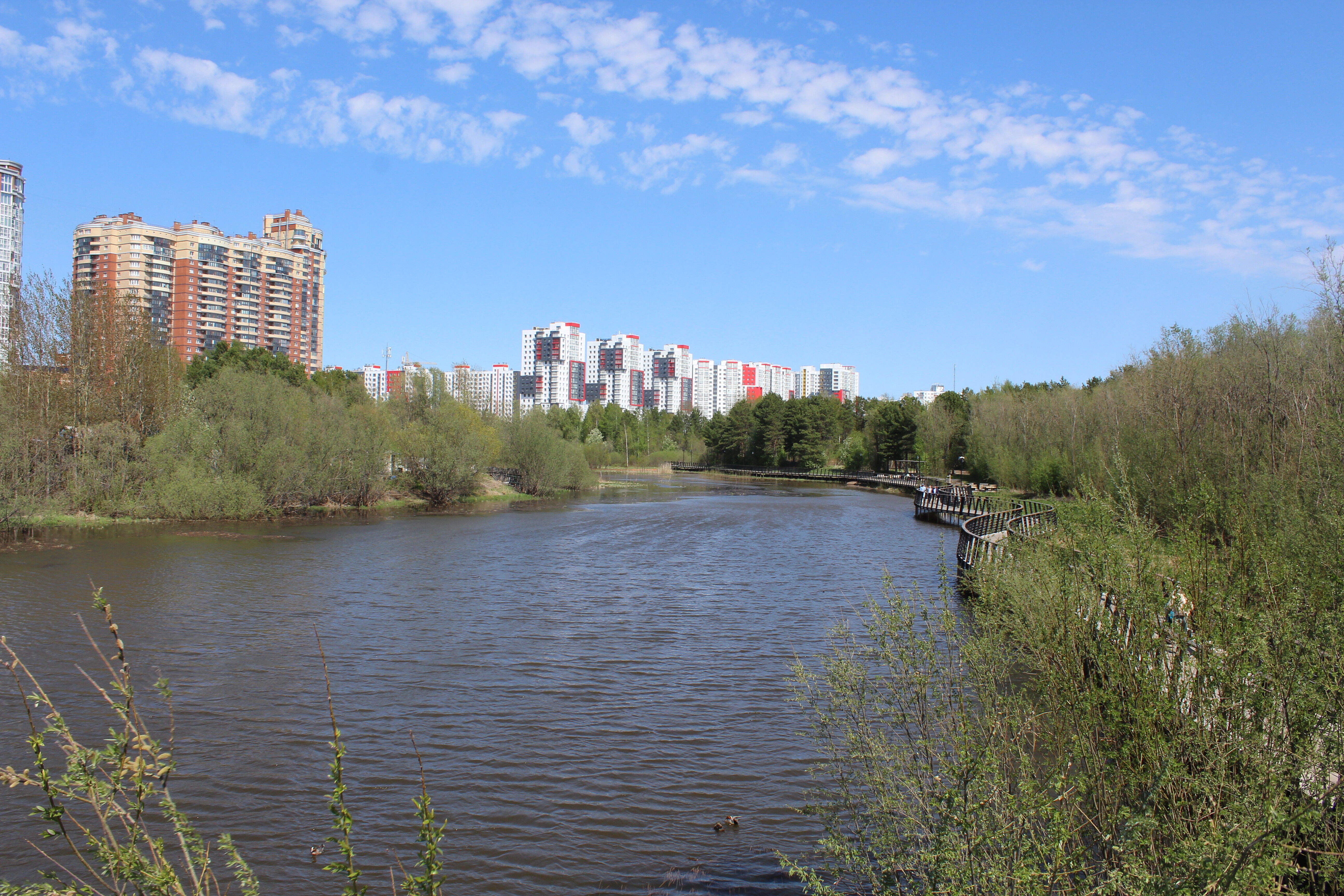IMG_7568.jpg