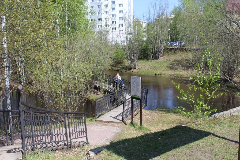 IMG_7600.jpg