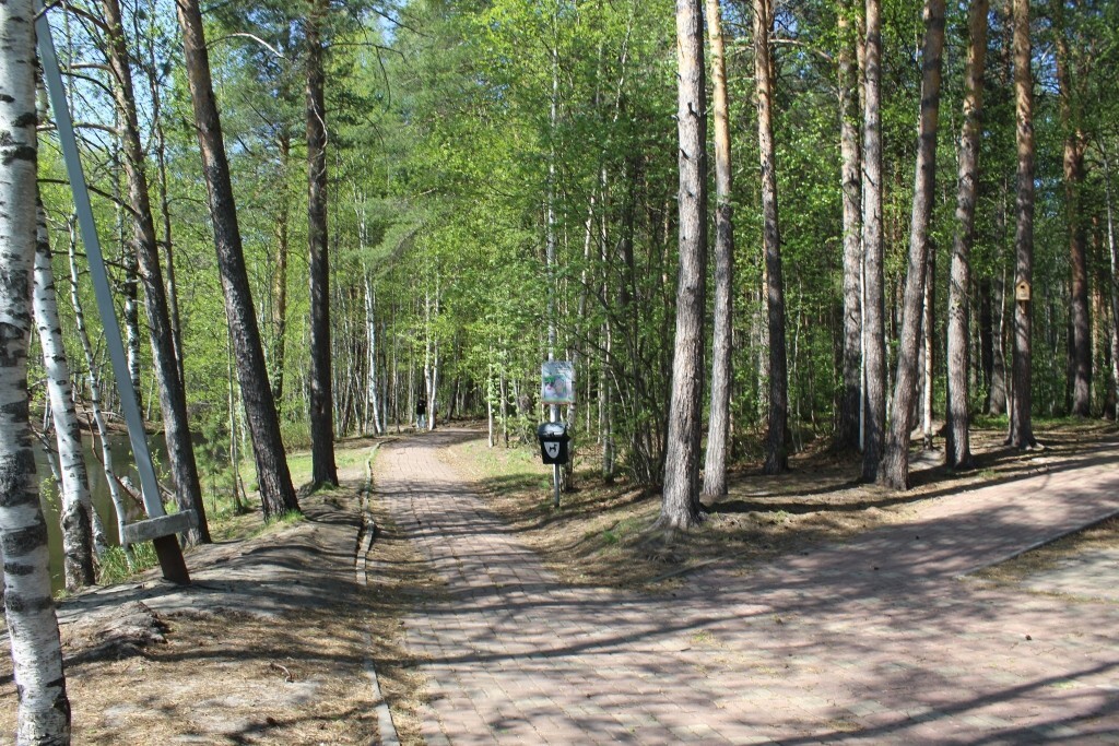 IMG_7604.jpg