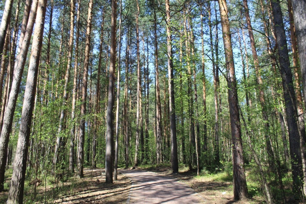 IMG_7607.jpg