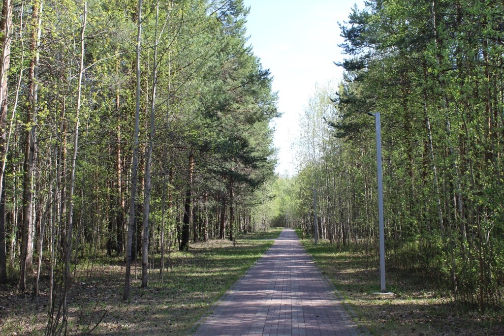 IMG_7636.jpg