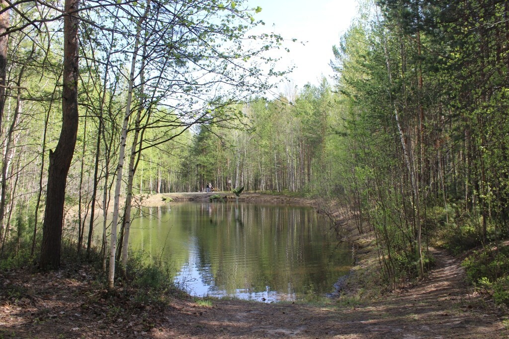 IMG_7640.jpg