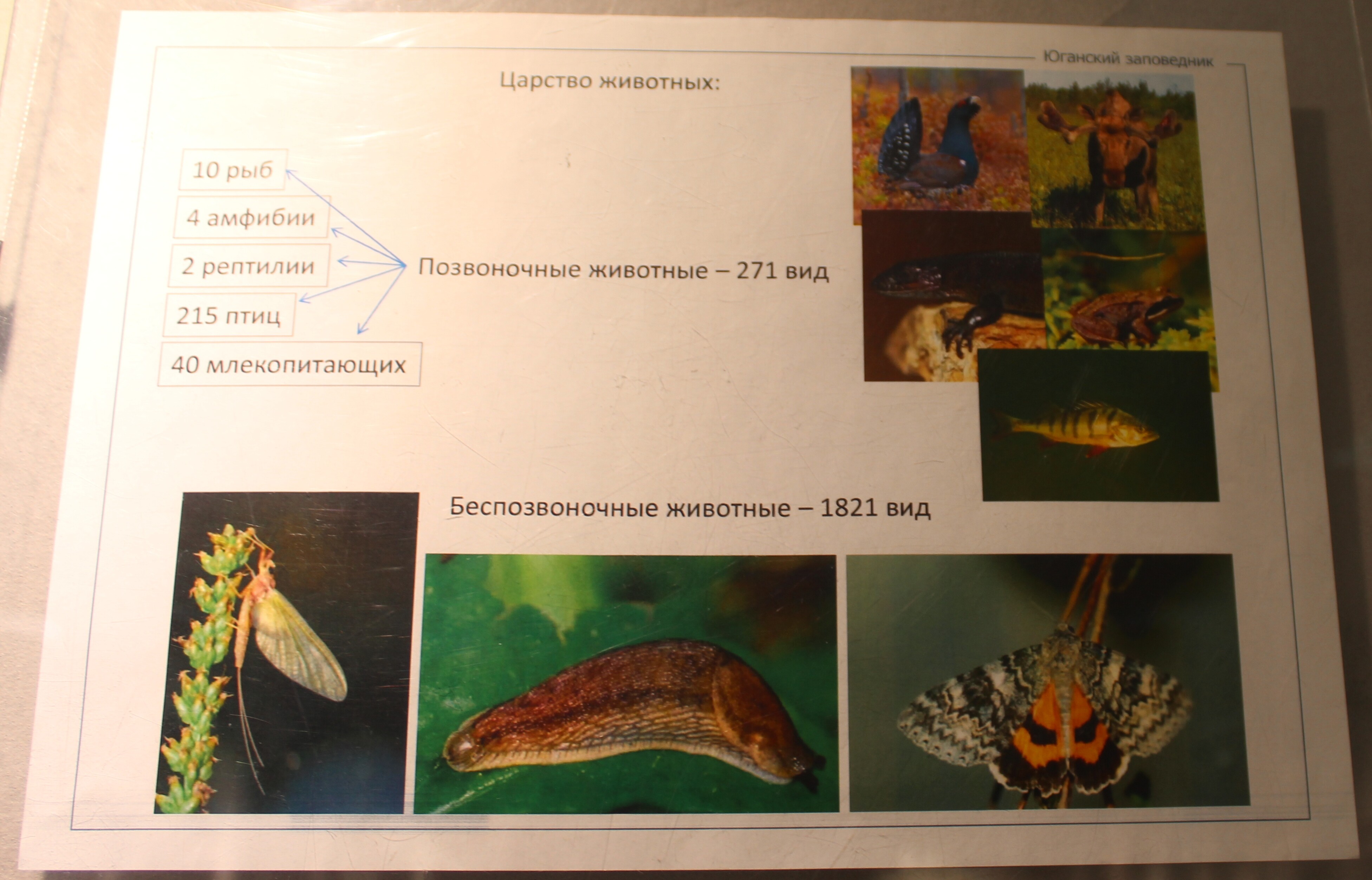 IMG_7653.jpg