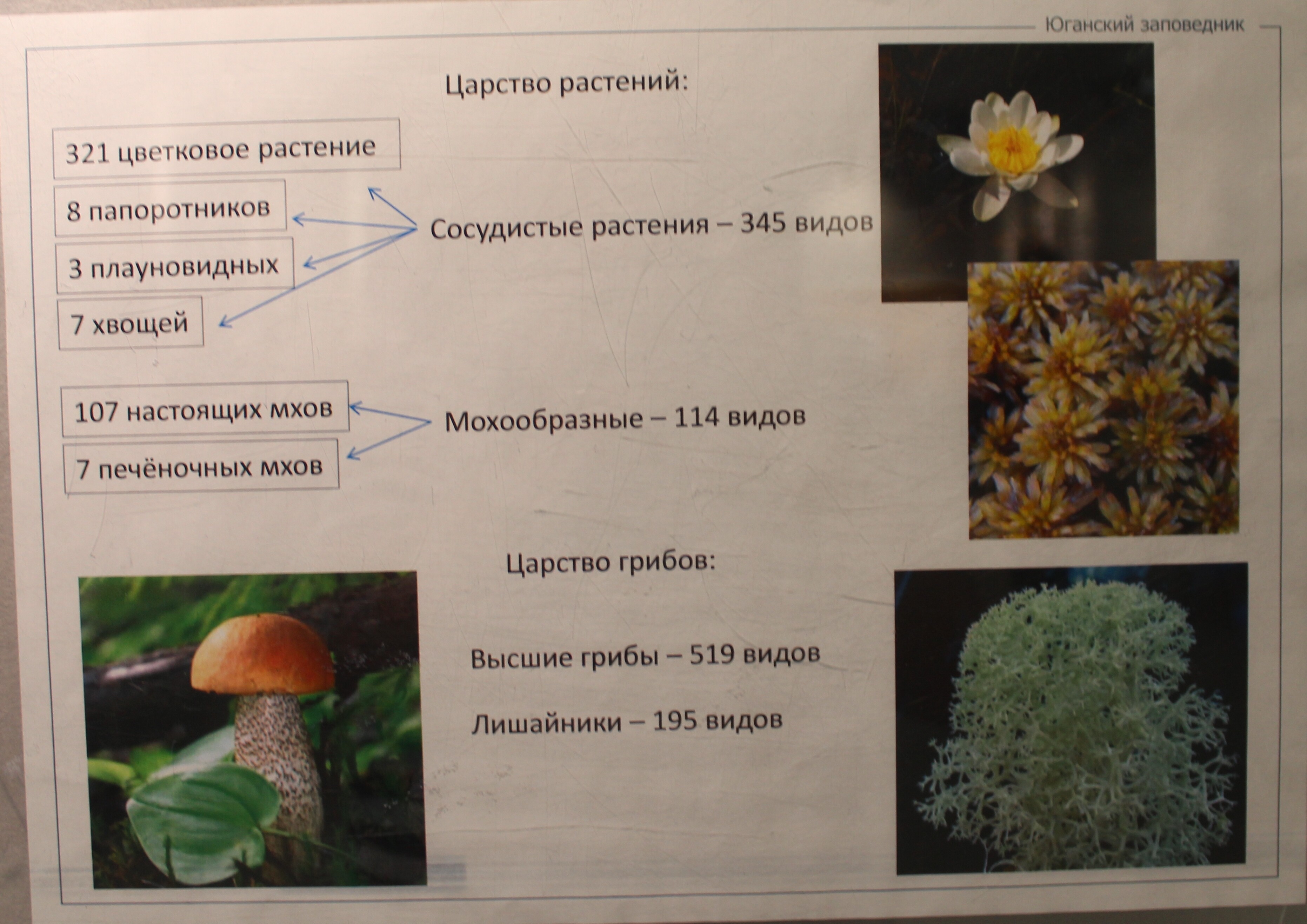 IMG_7654.jpg