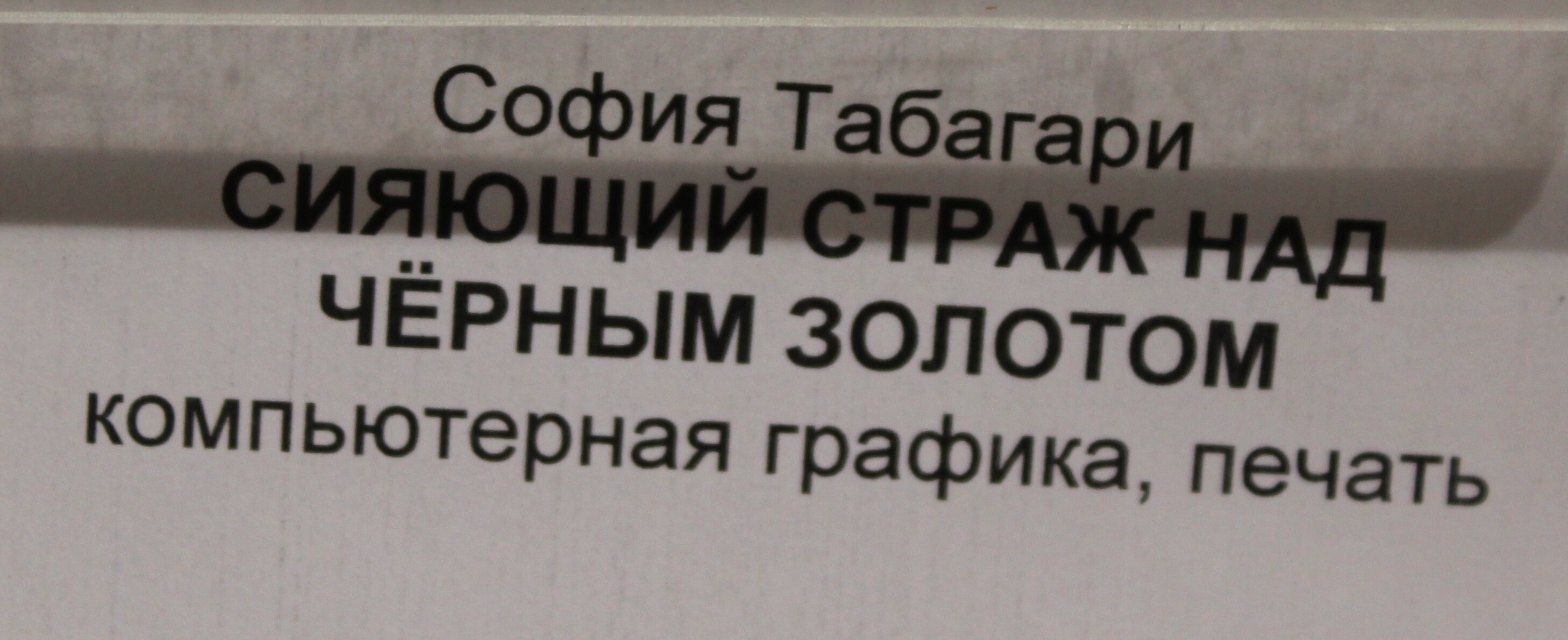 IMG_7779.jpg
