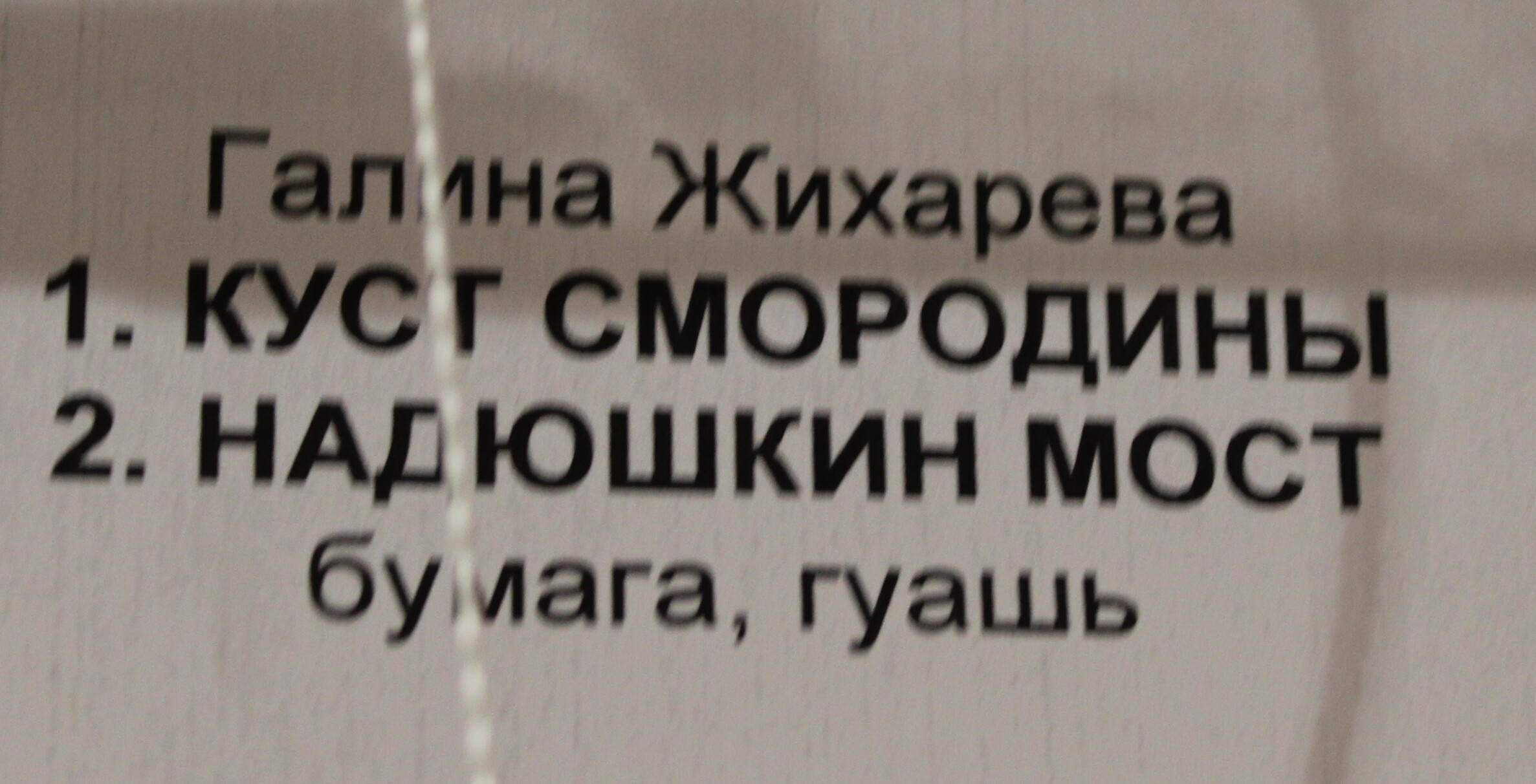 IMG_7840.jpg