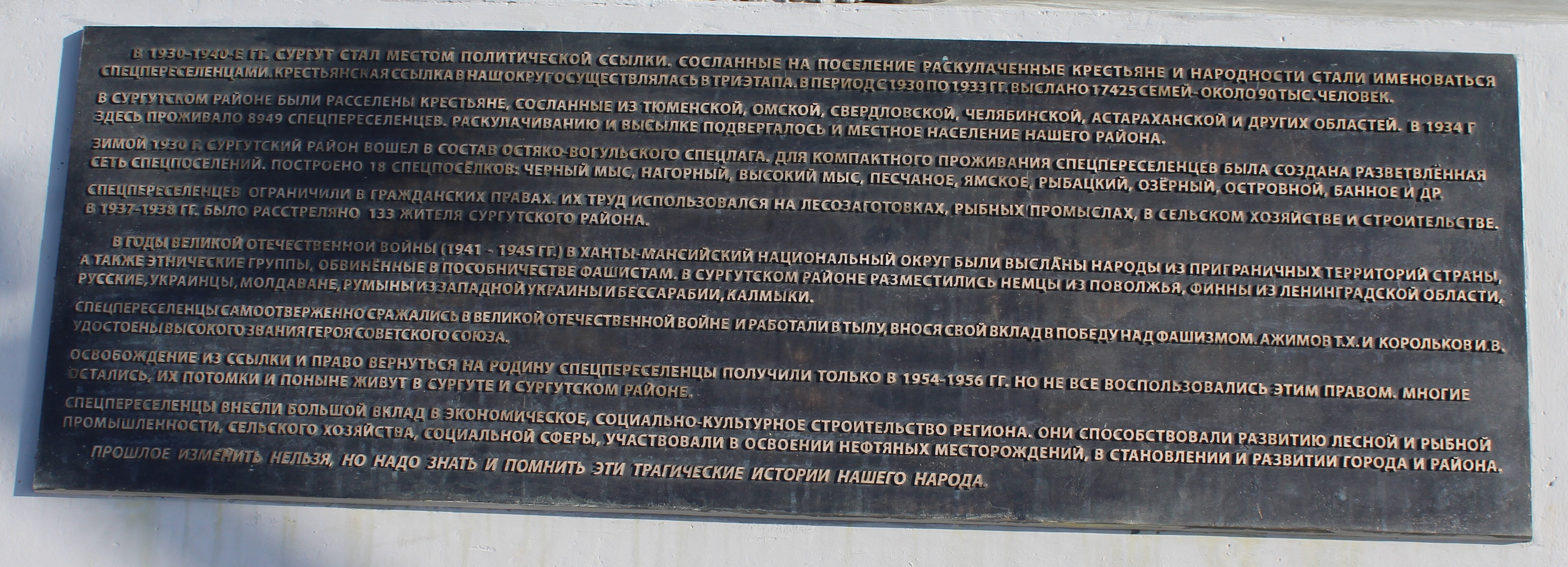IMG_7848.jpg