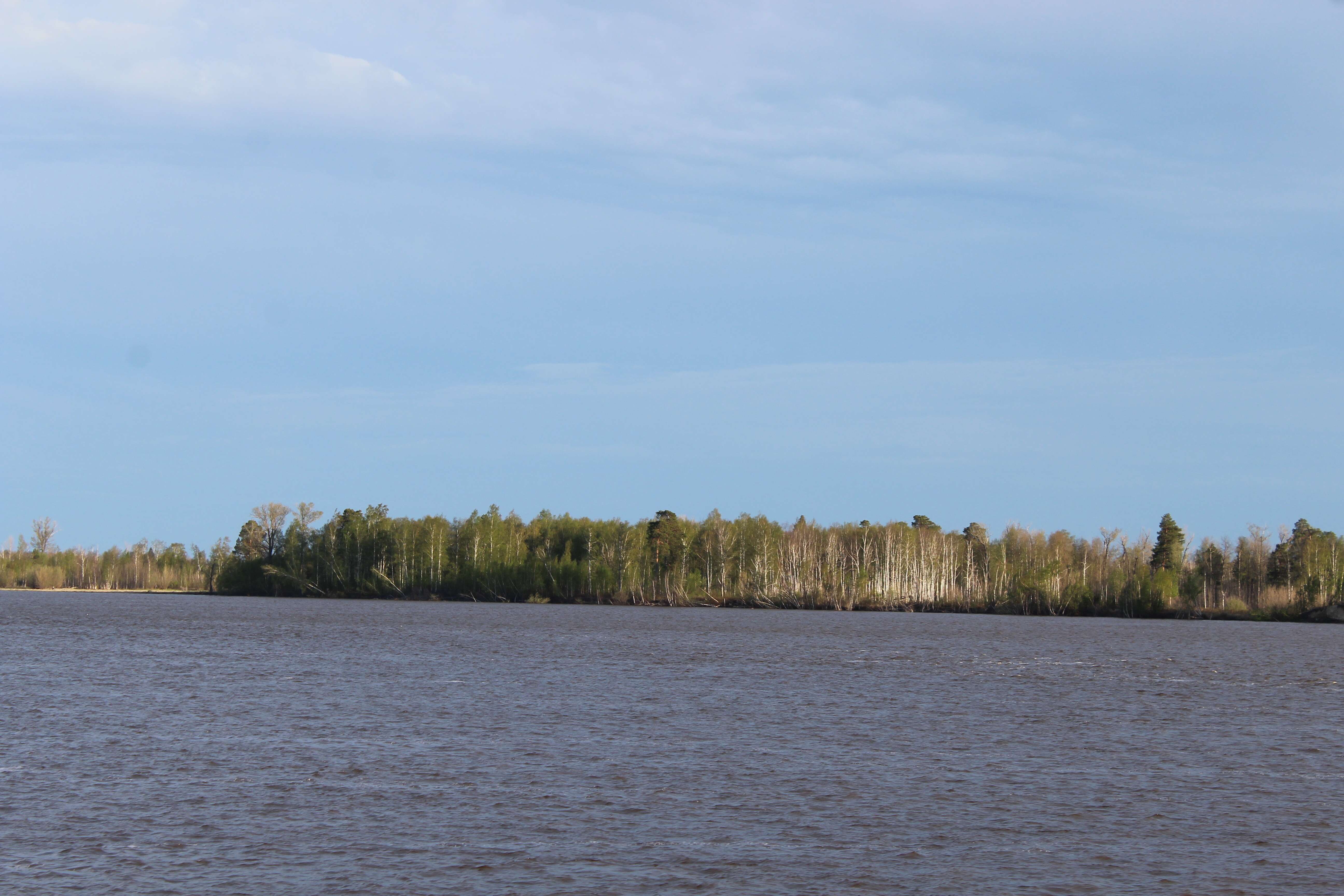 IMG_7886.jpg
