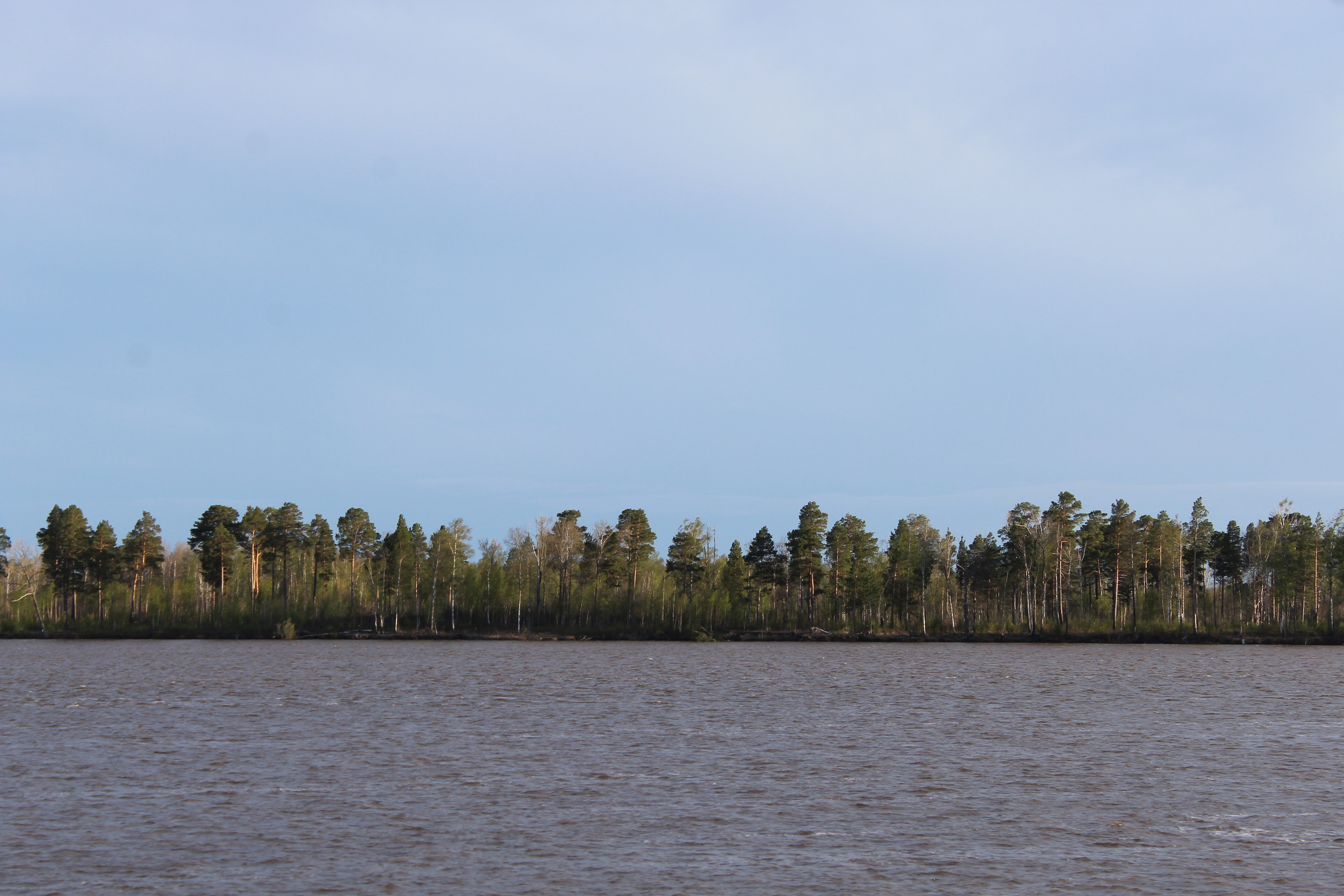IMG_7887.jpg