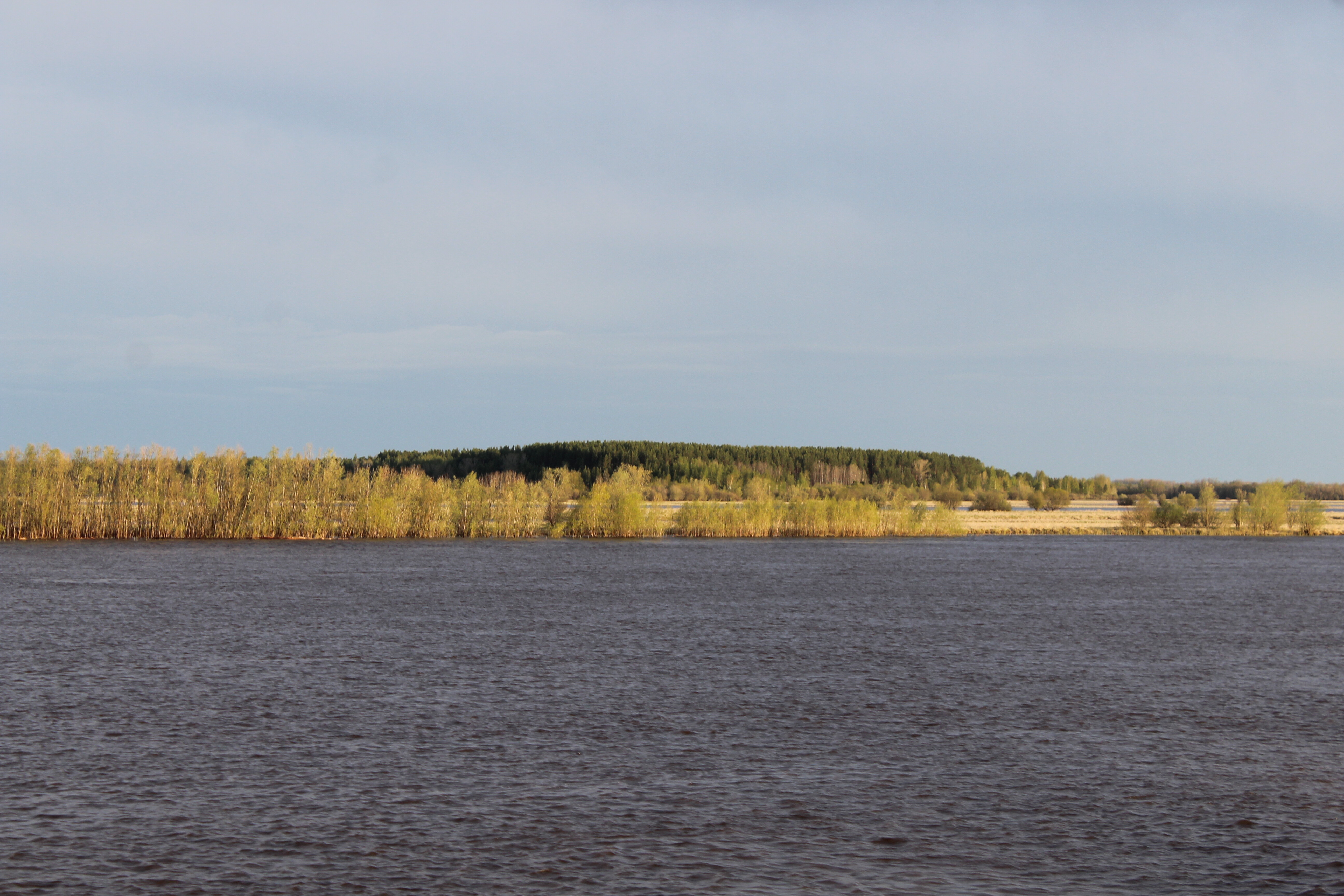IMG_7889.jpg