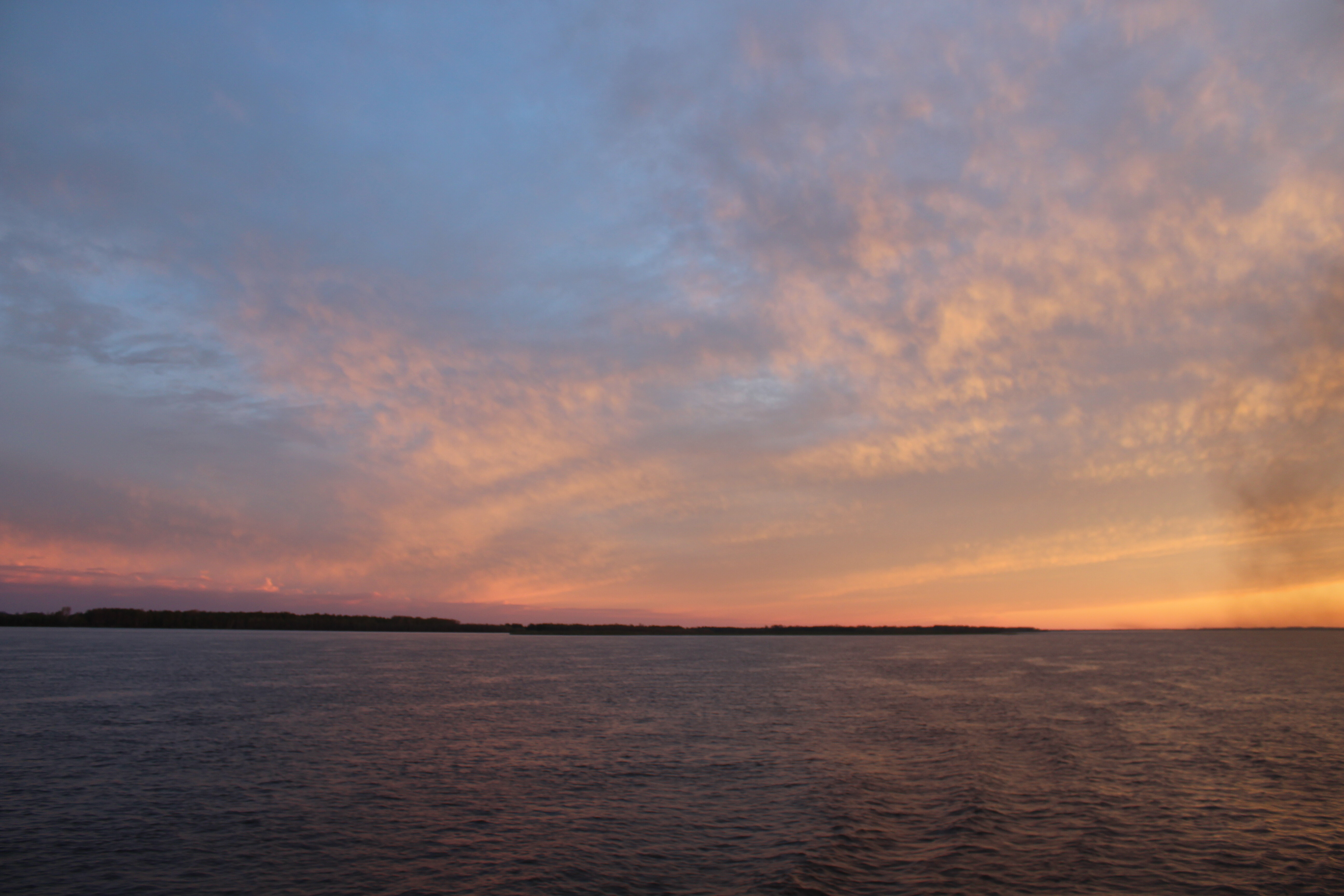 IMG_7906.jpg