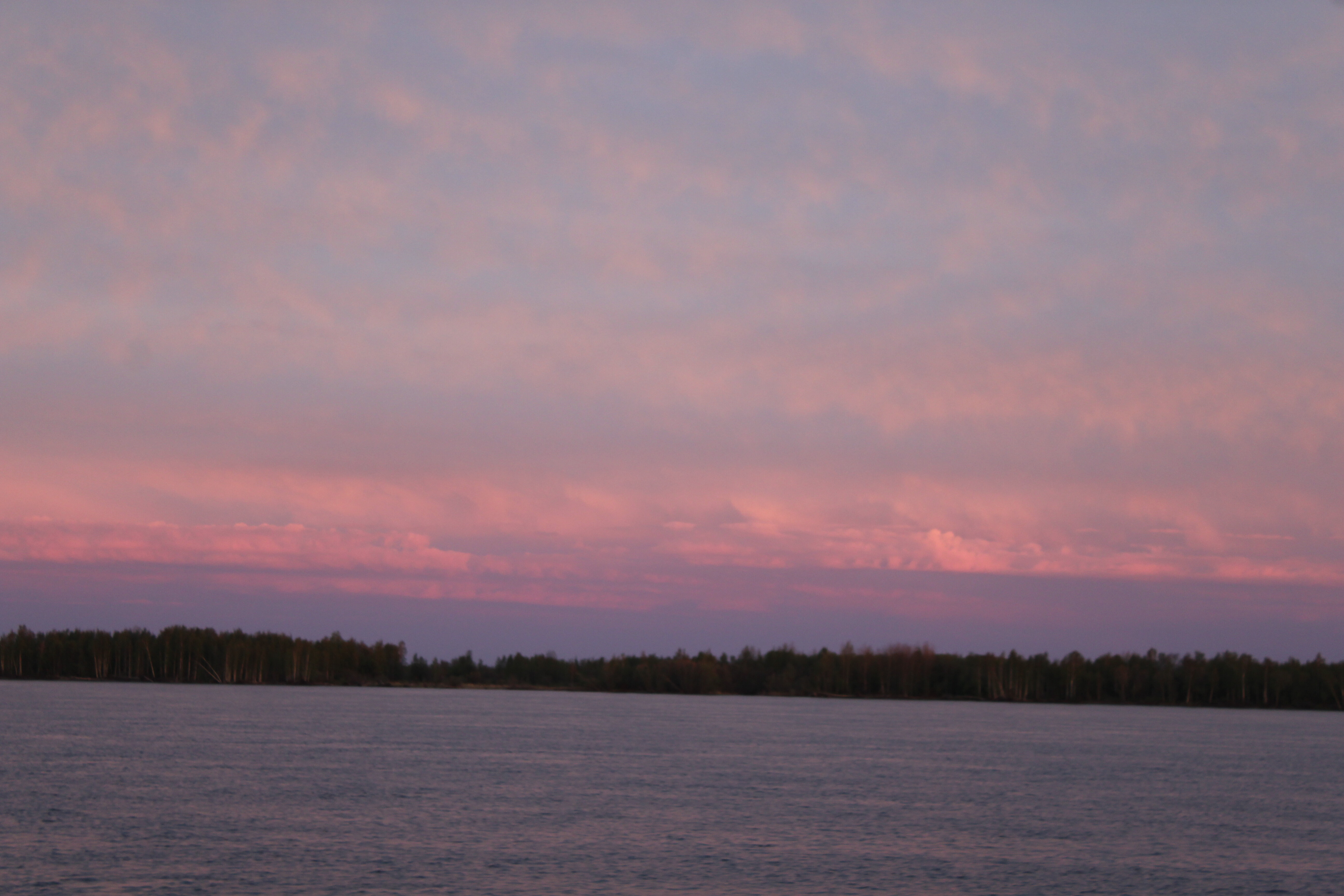 IMG_7907.jpg