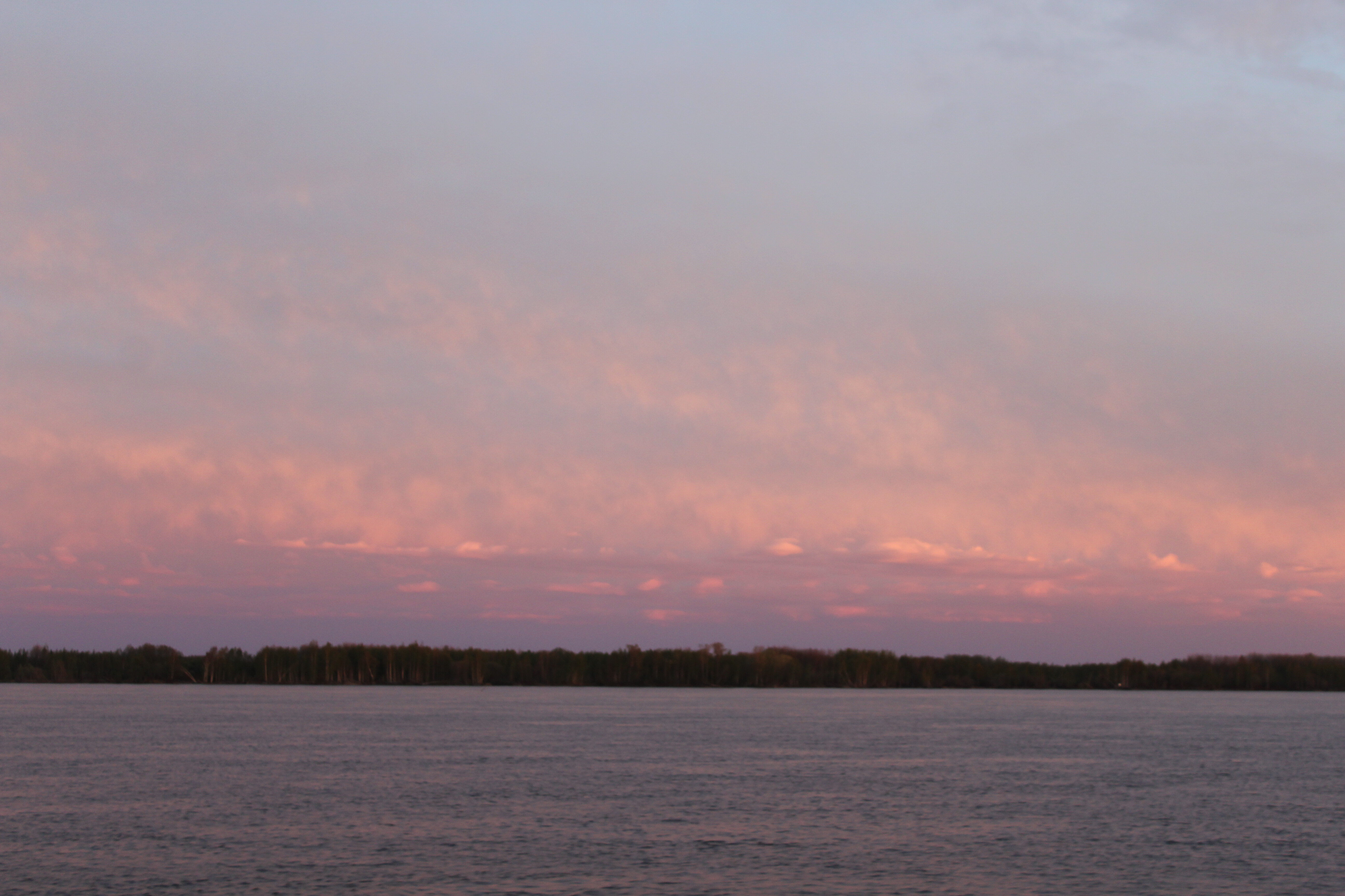 IMG_7908.jpg