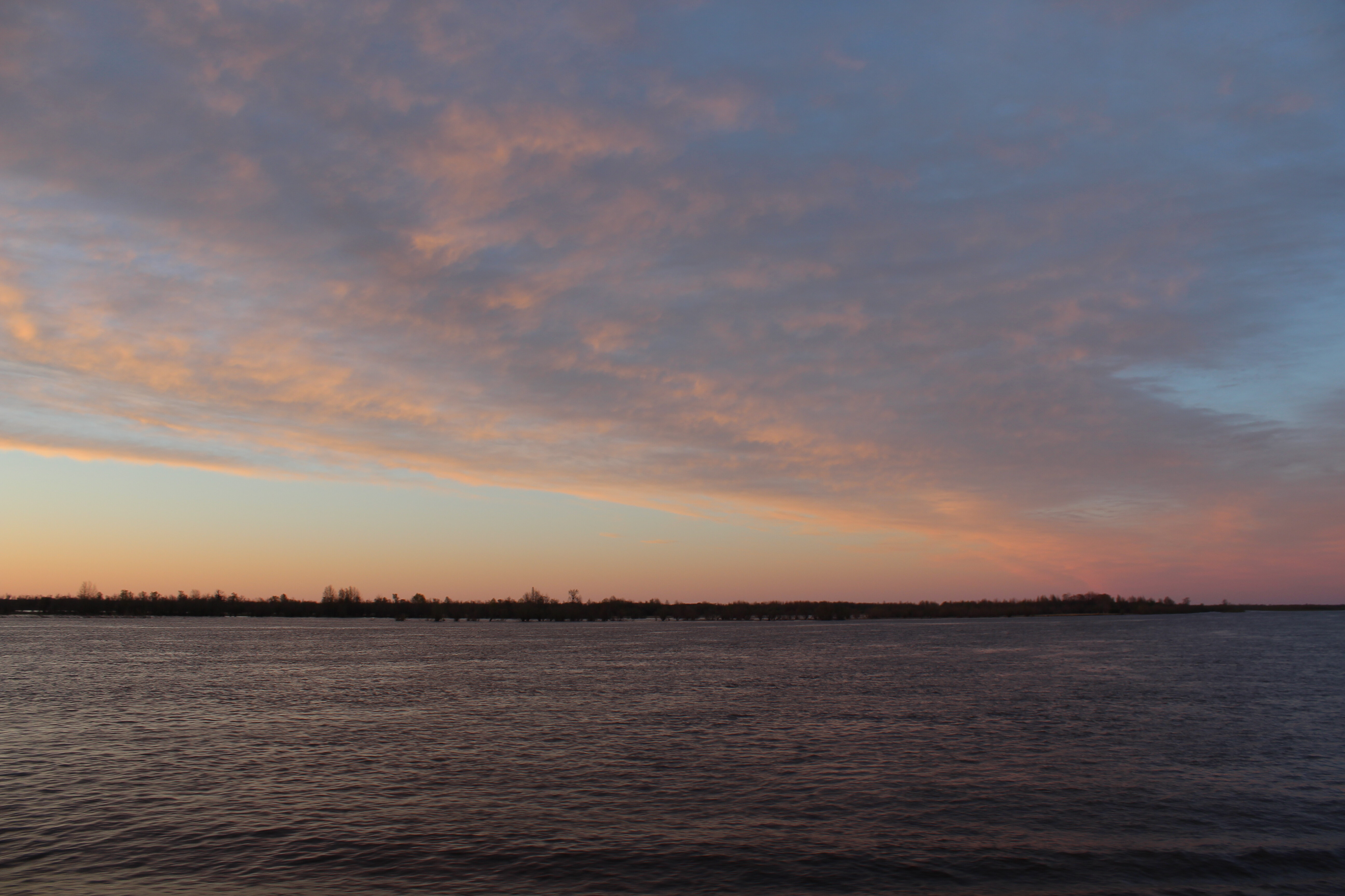IMG_7914.jpg
