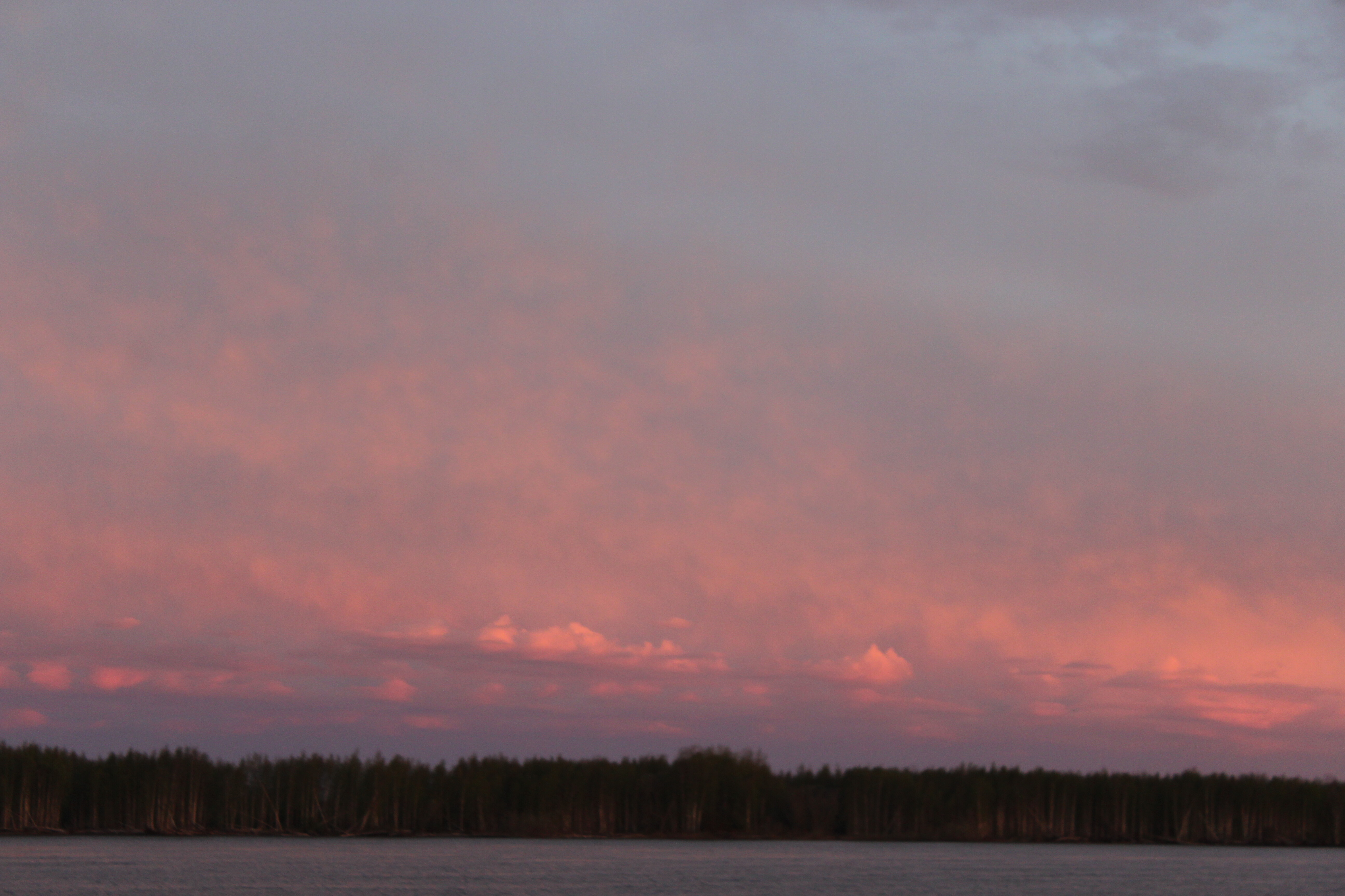 IMG_7924.jpg