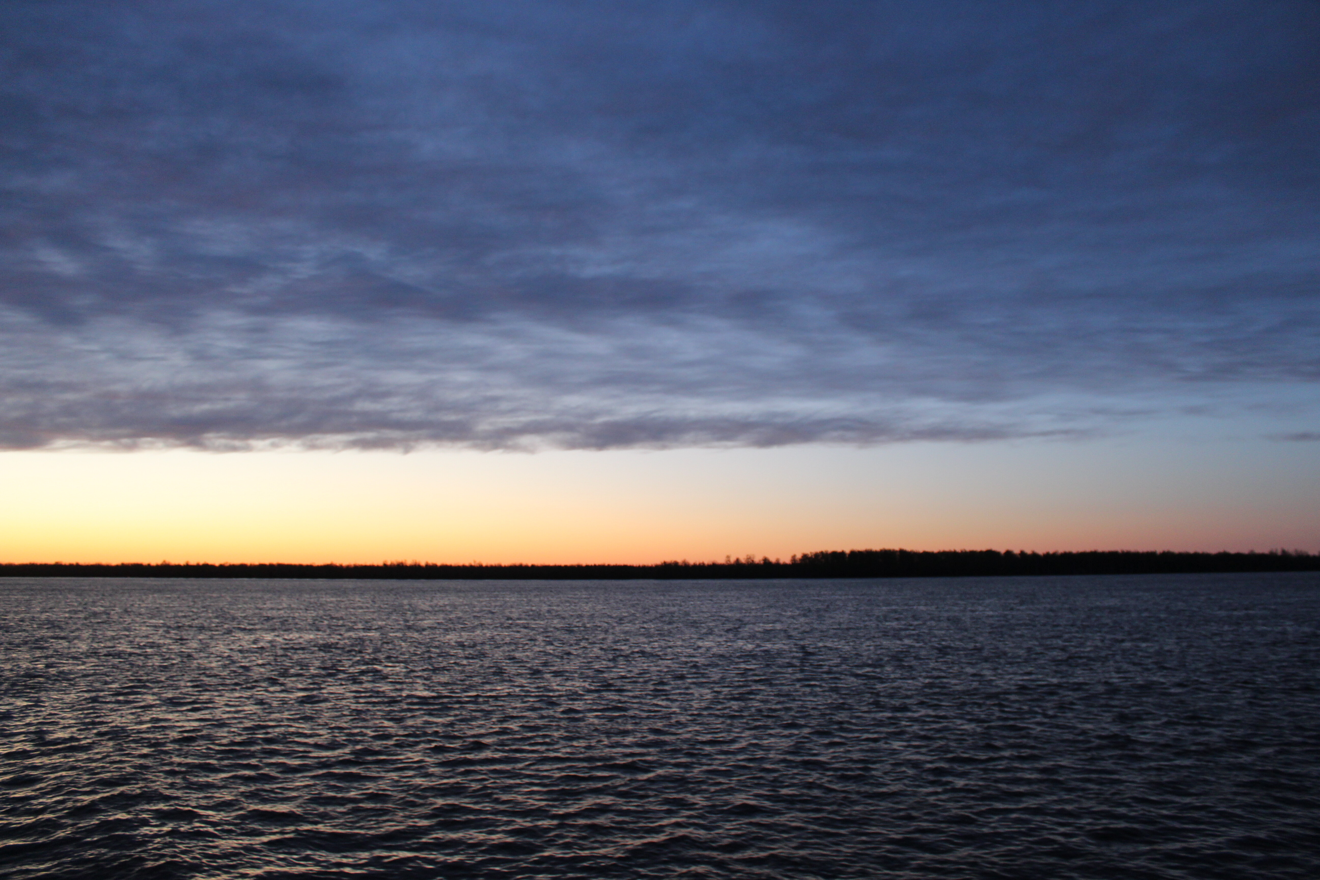 IMG_7931.jpg