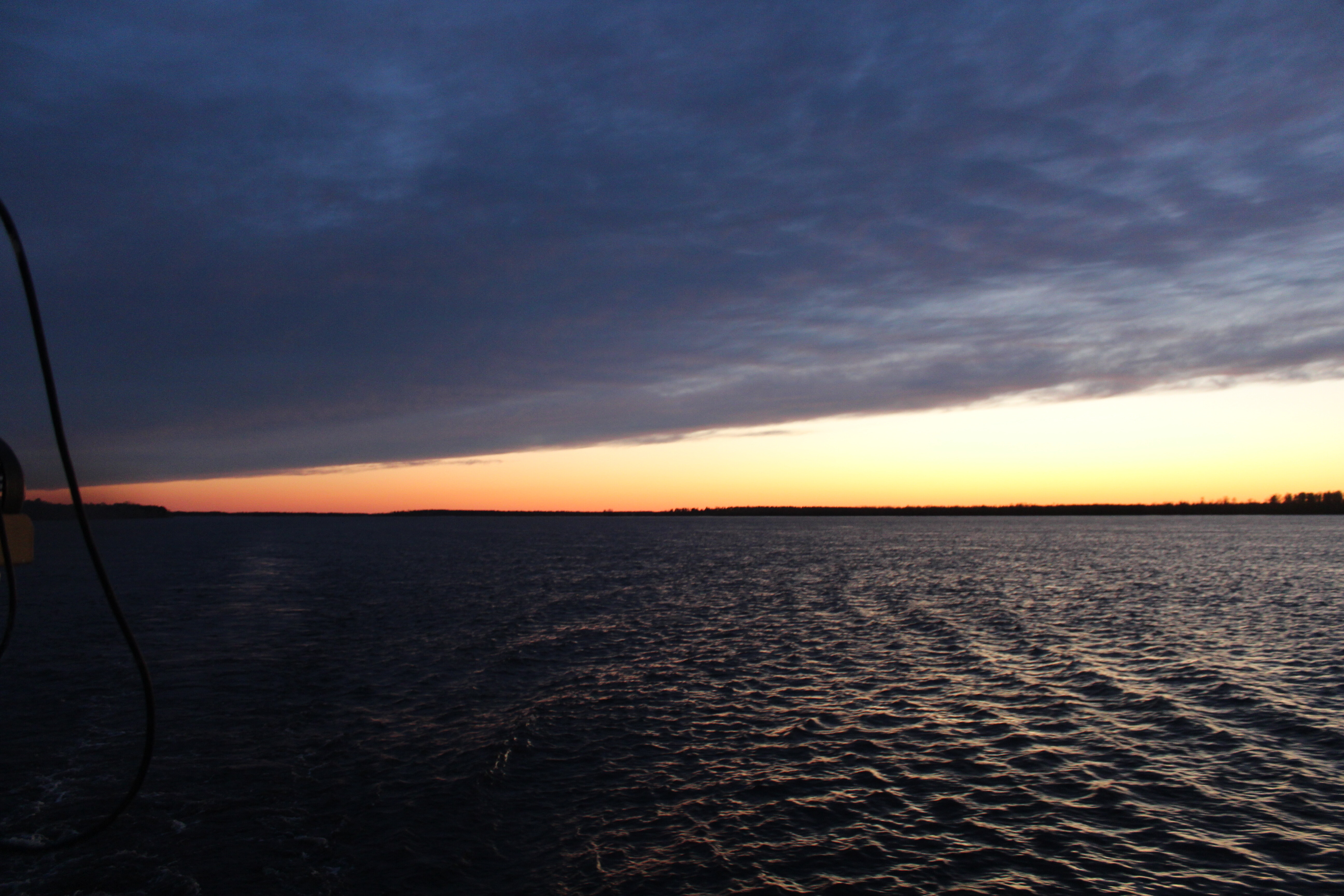 IMG_7937.jpg