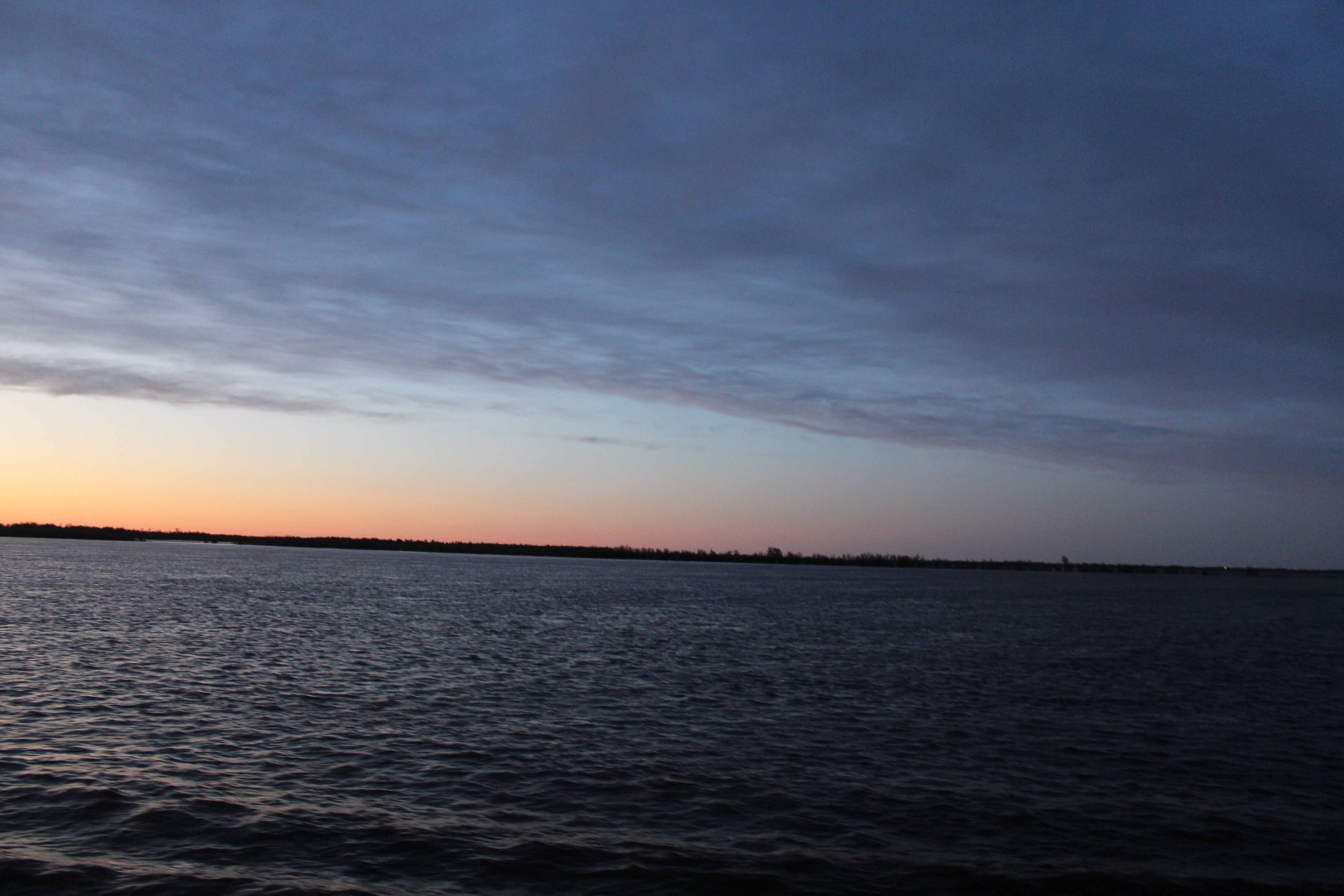IMG_7939.jpg