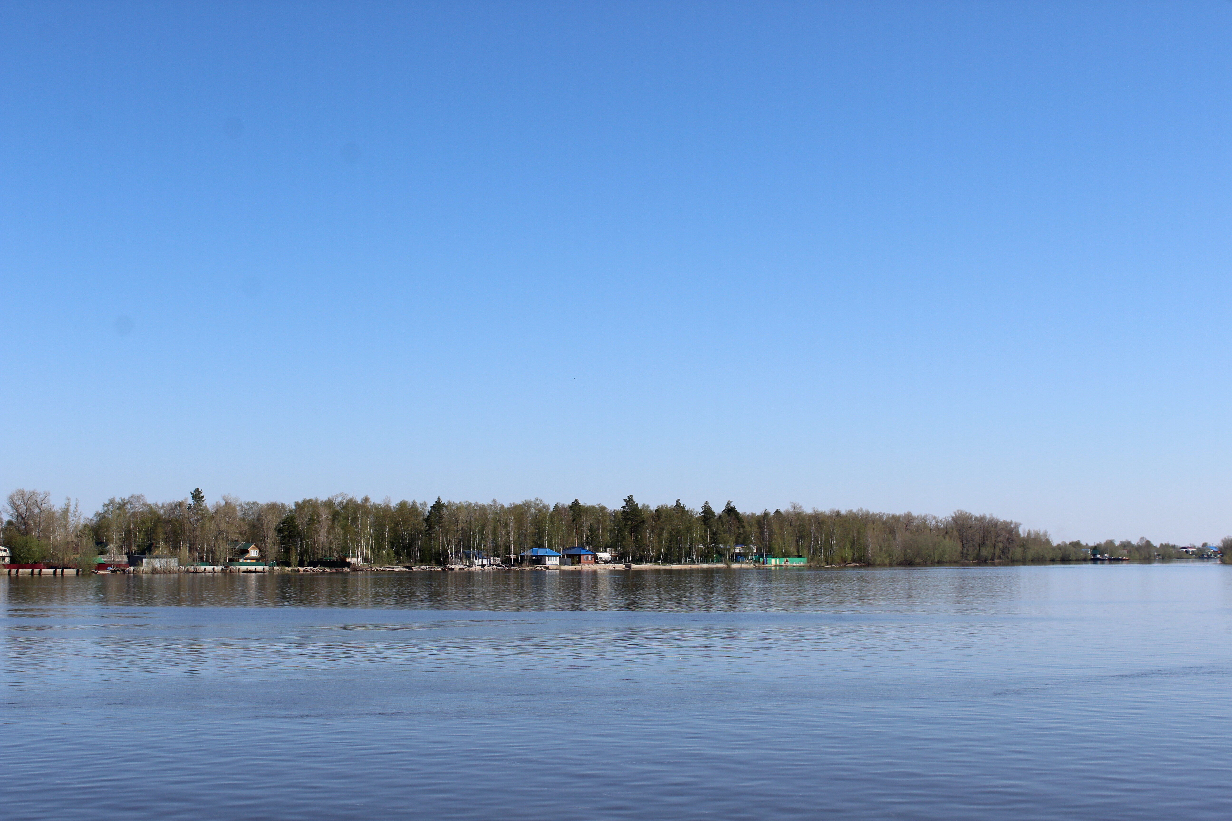IMG_7941.jpg