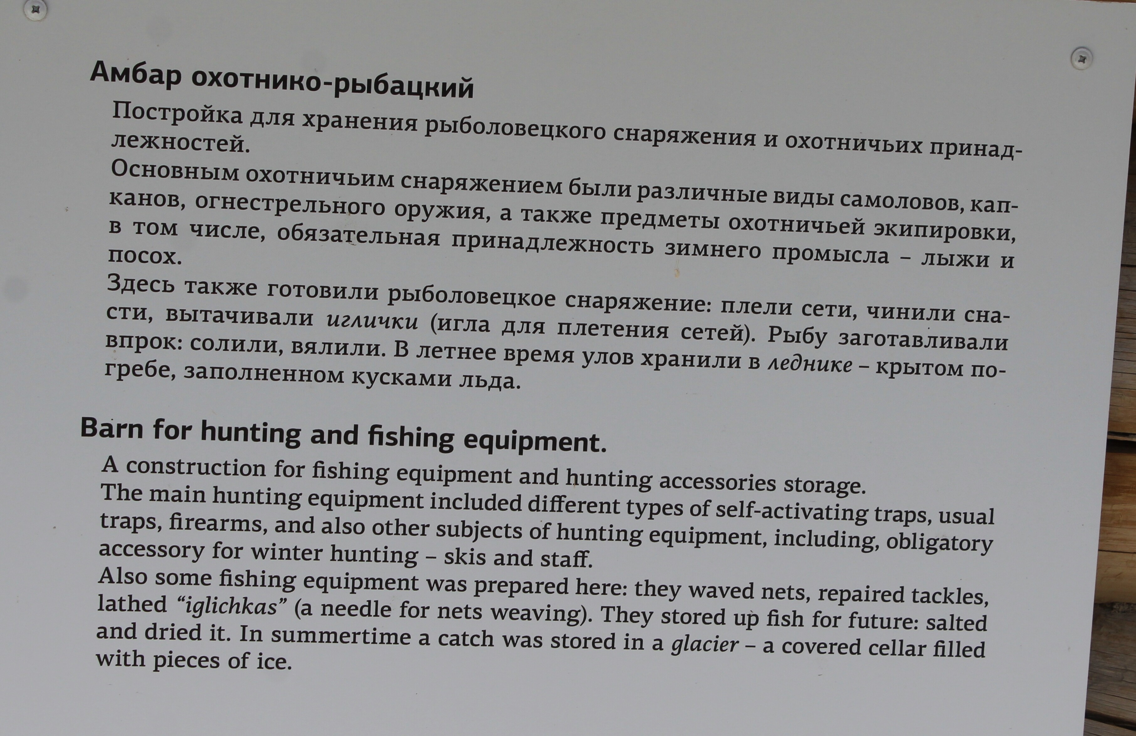 IMG_7956.jpg