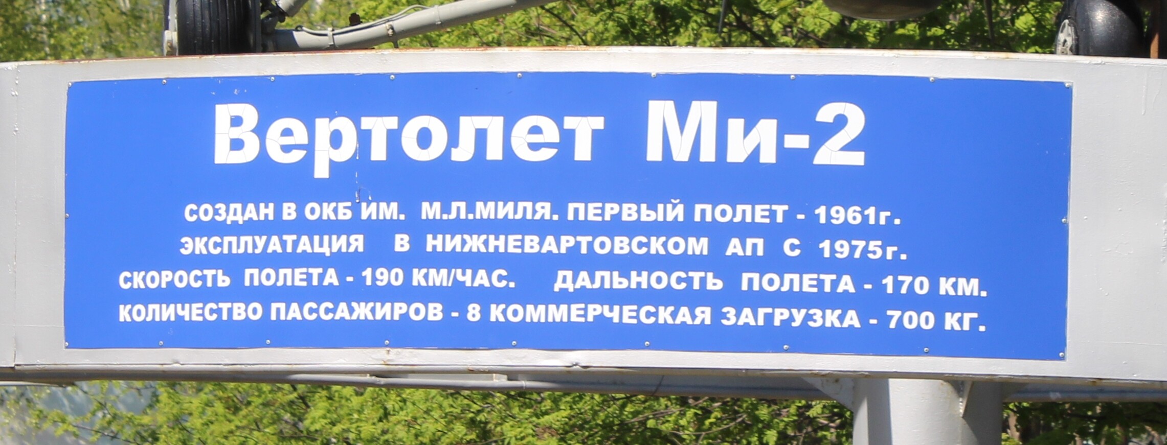 IMG_8088.jpg