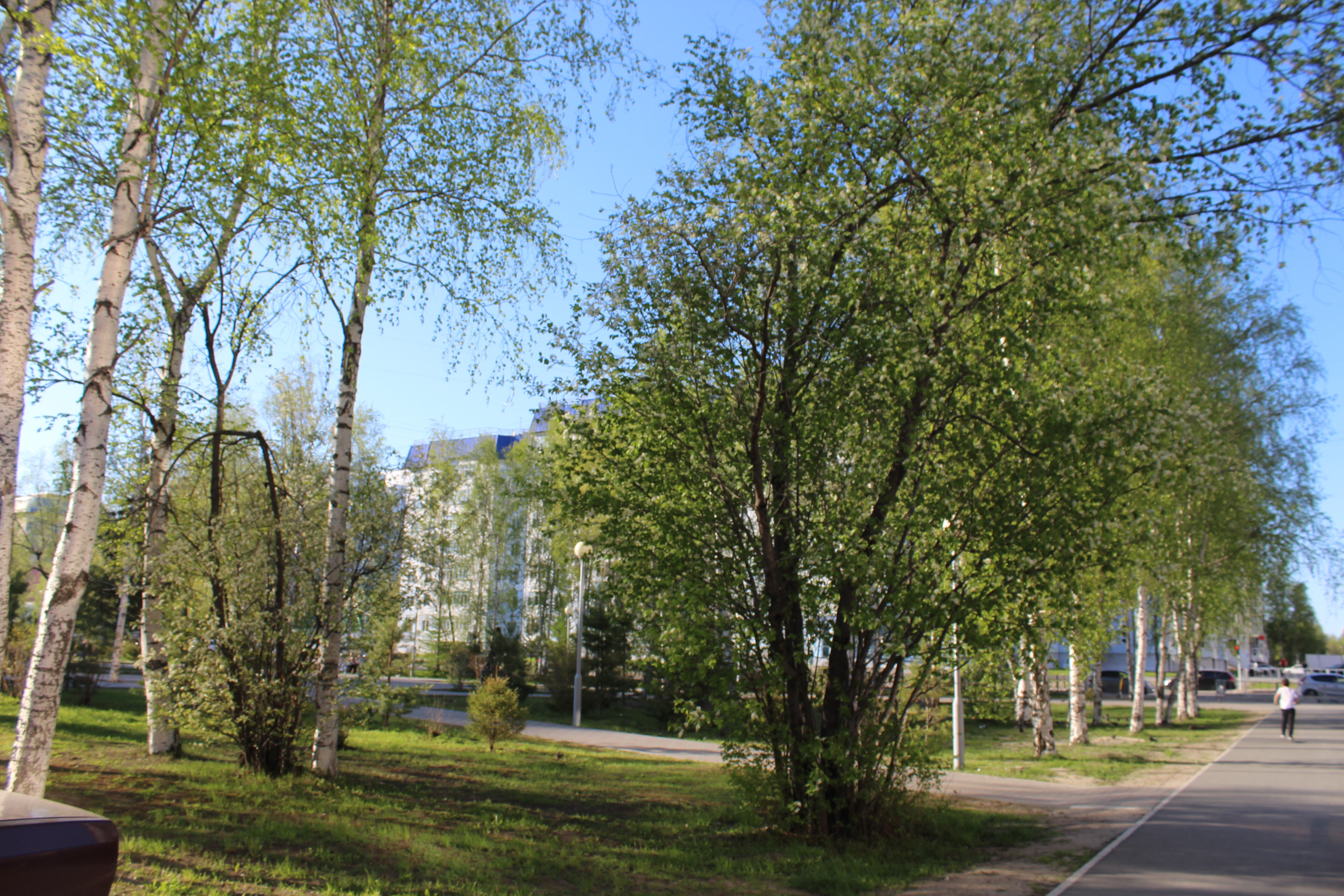 IMG_8161.jpg