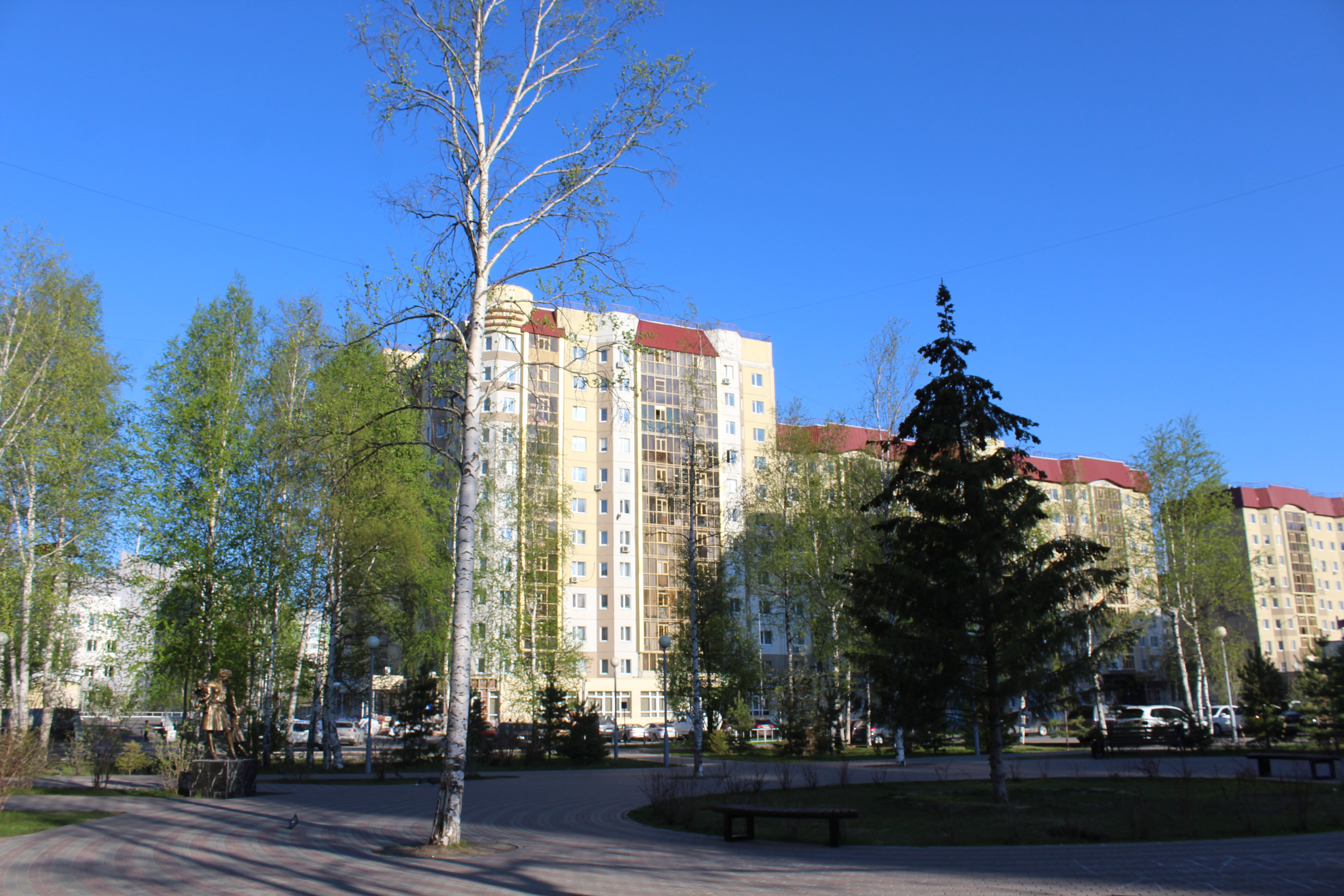 IMG_8167.jpg