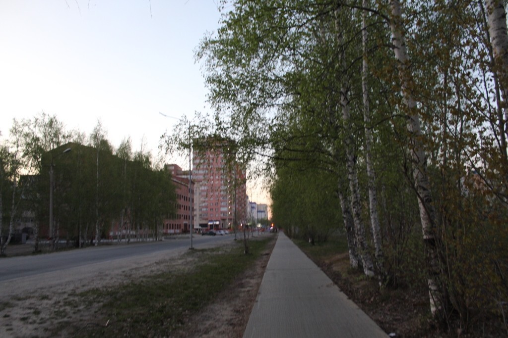 IMG_8203.jpg