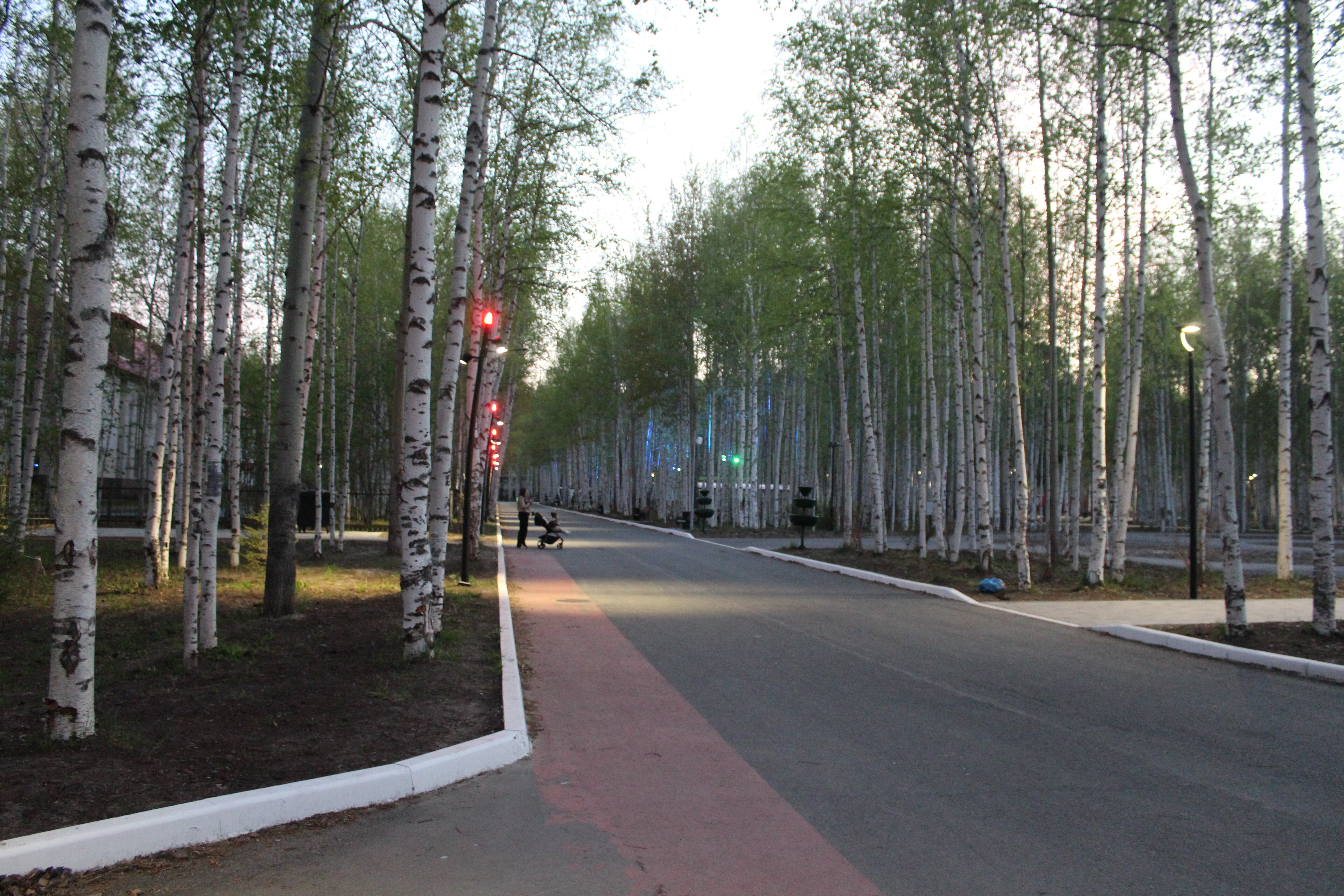 IMG_8220.jpg