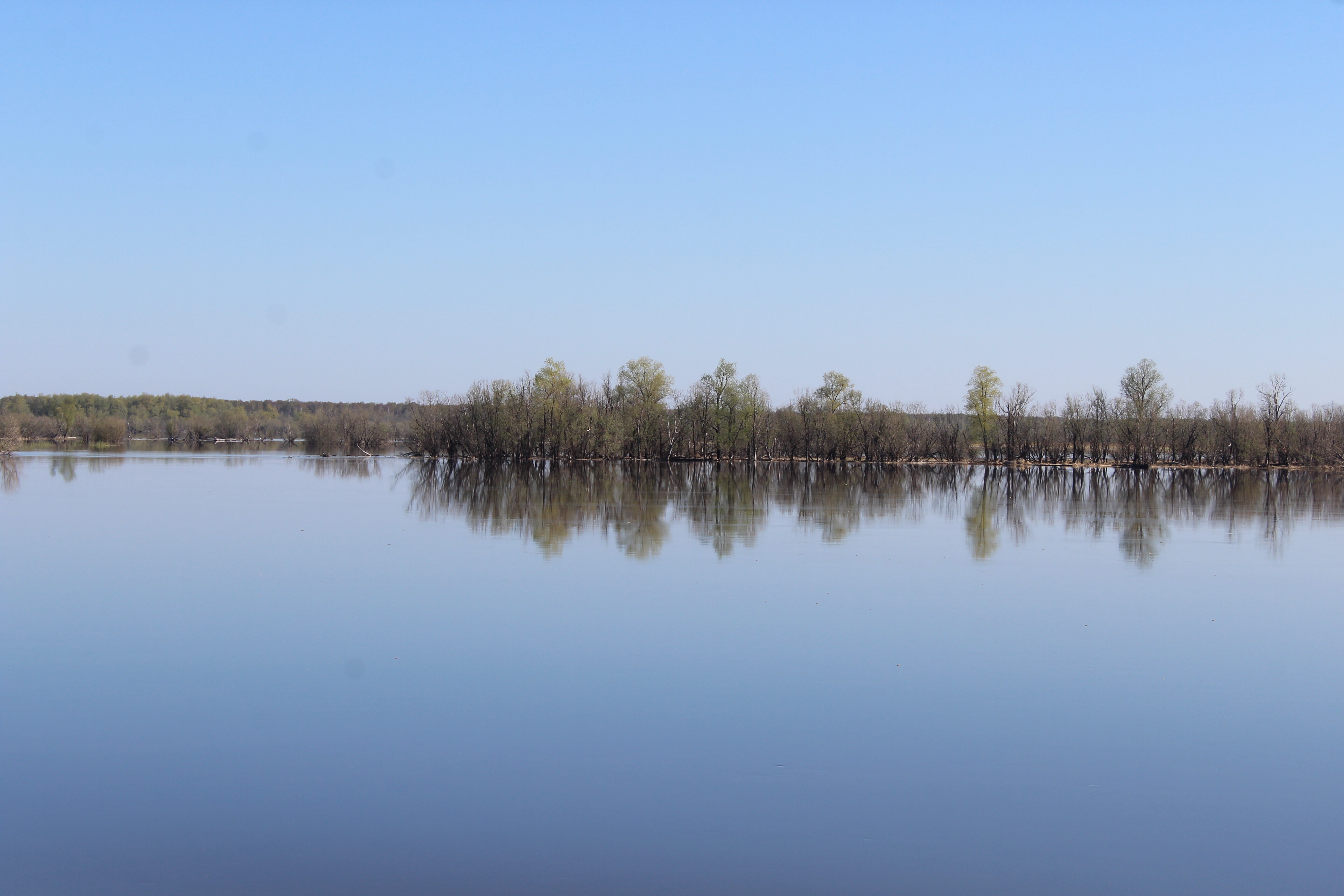 IMG_8305.jpg