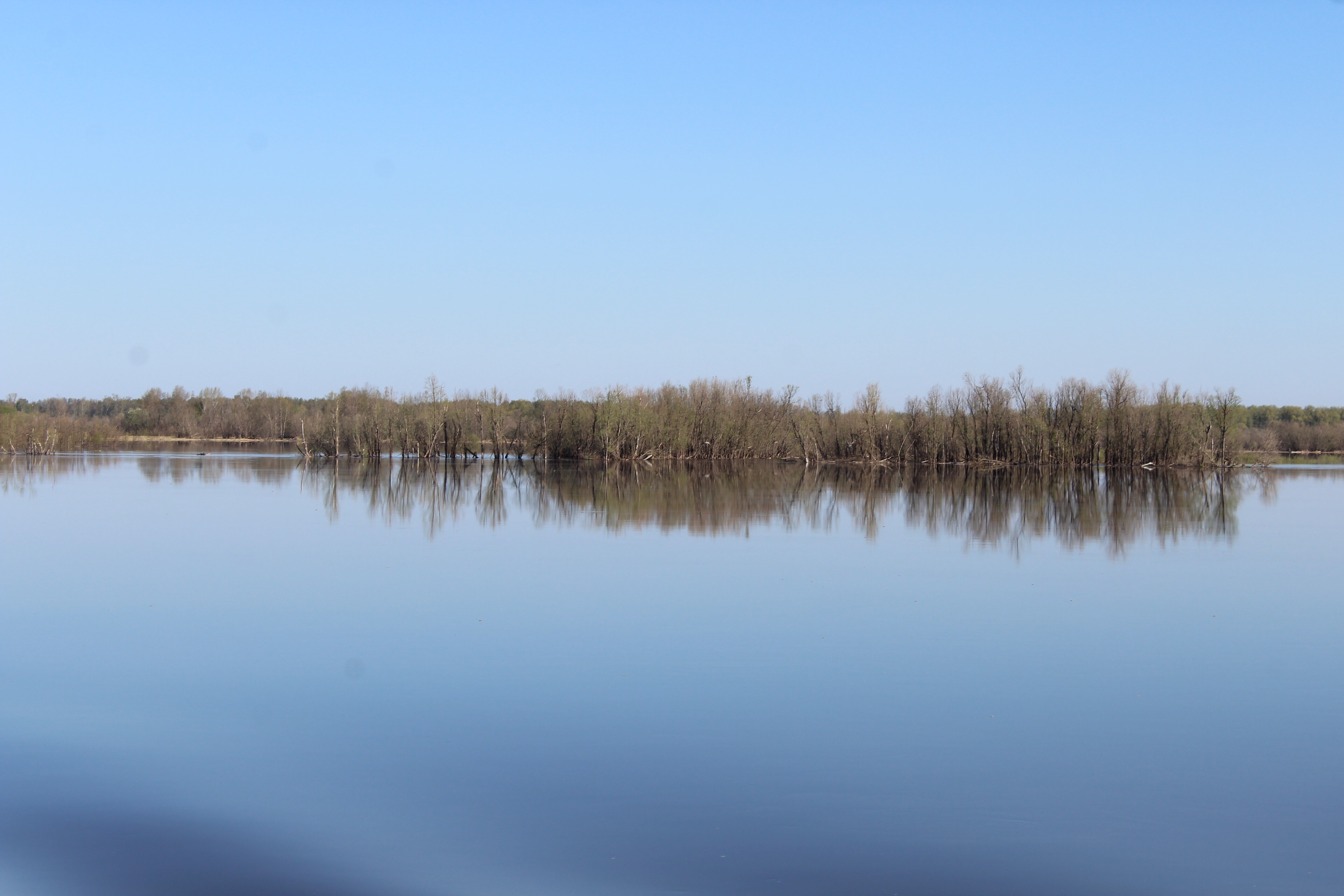 IMG_8307.jpg