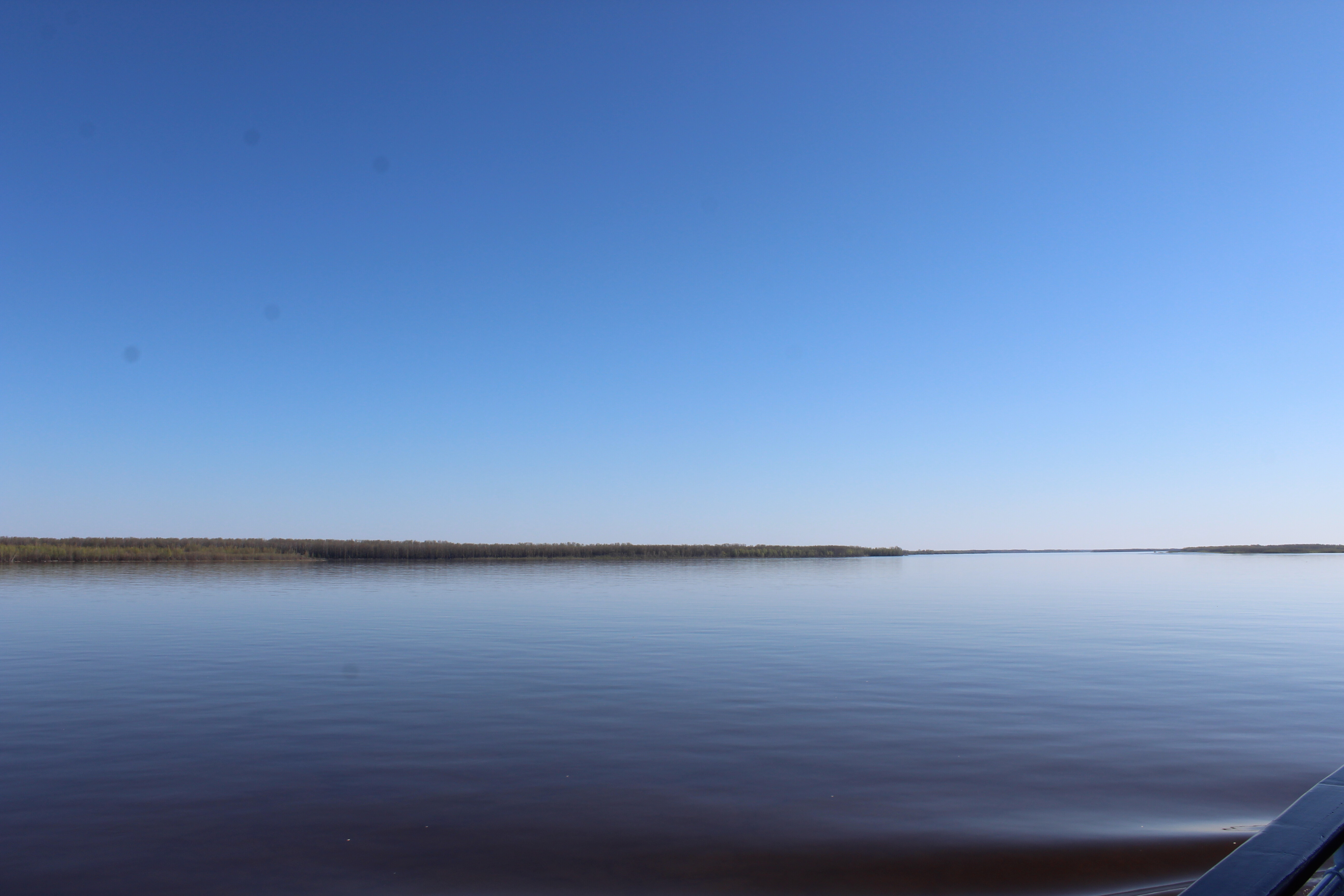 IMG_8317.jpg