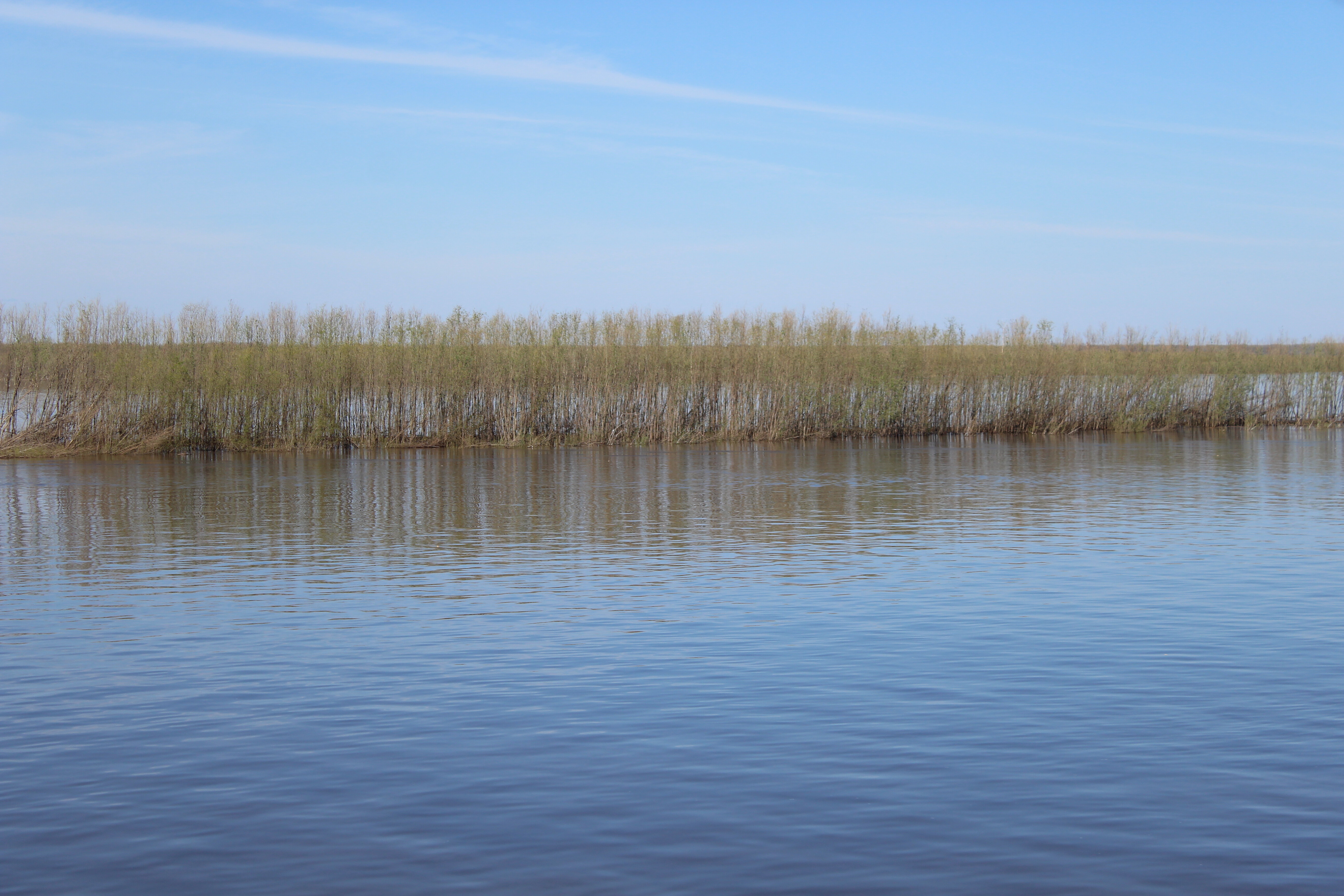 IMG_8337.jpg
